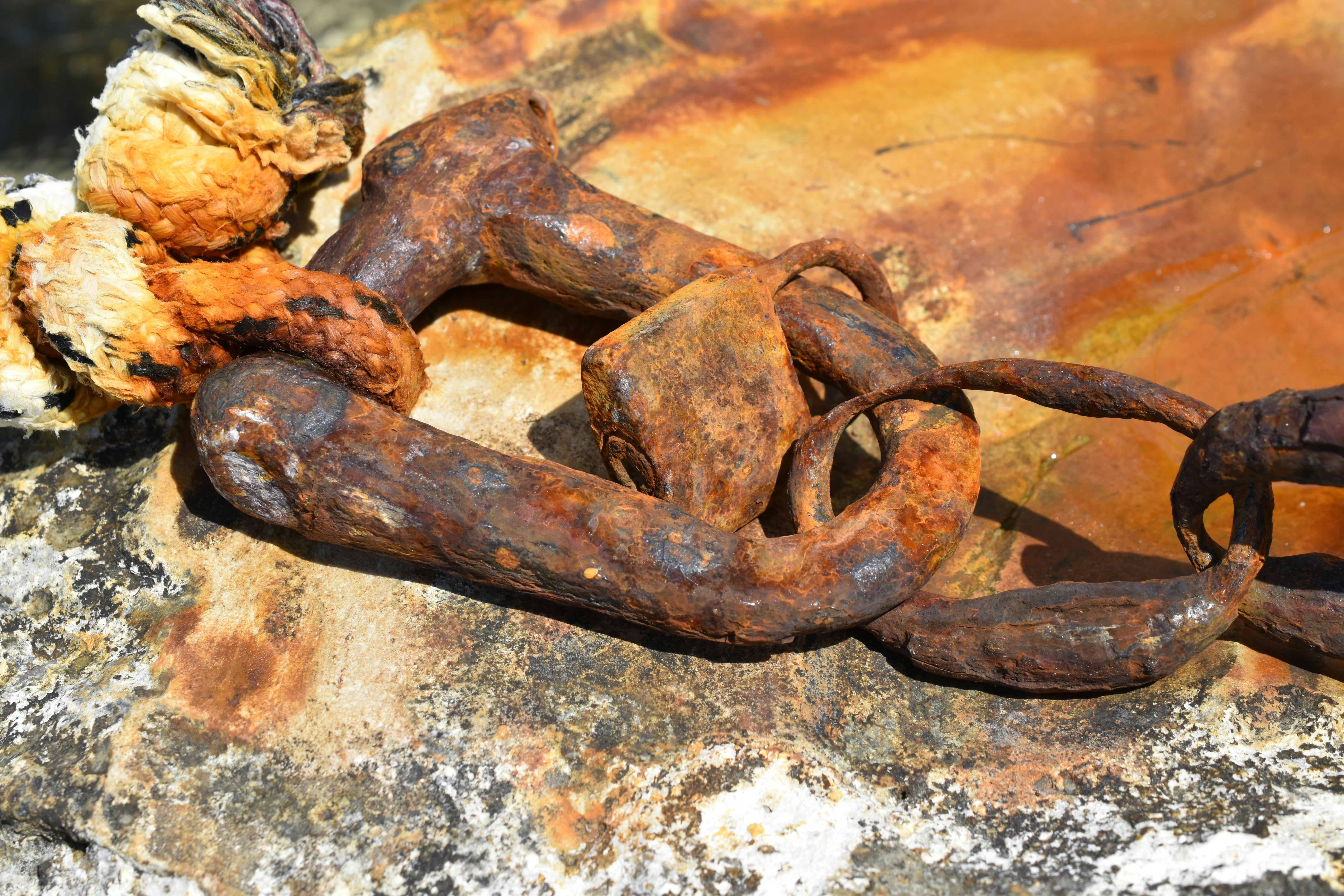 Free Unsplash photo from Martijn Drost