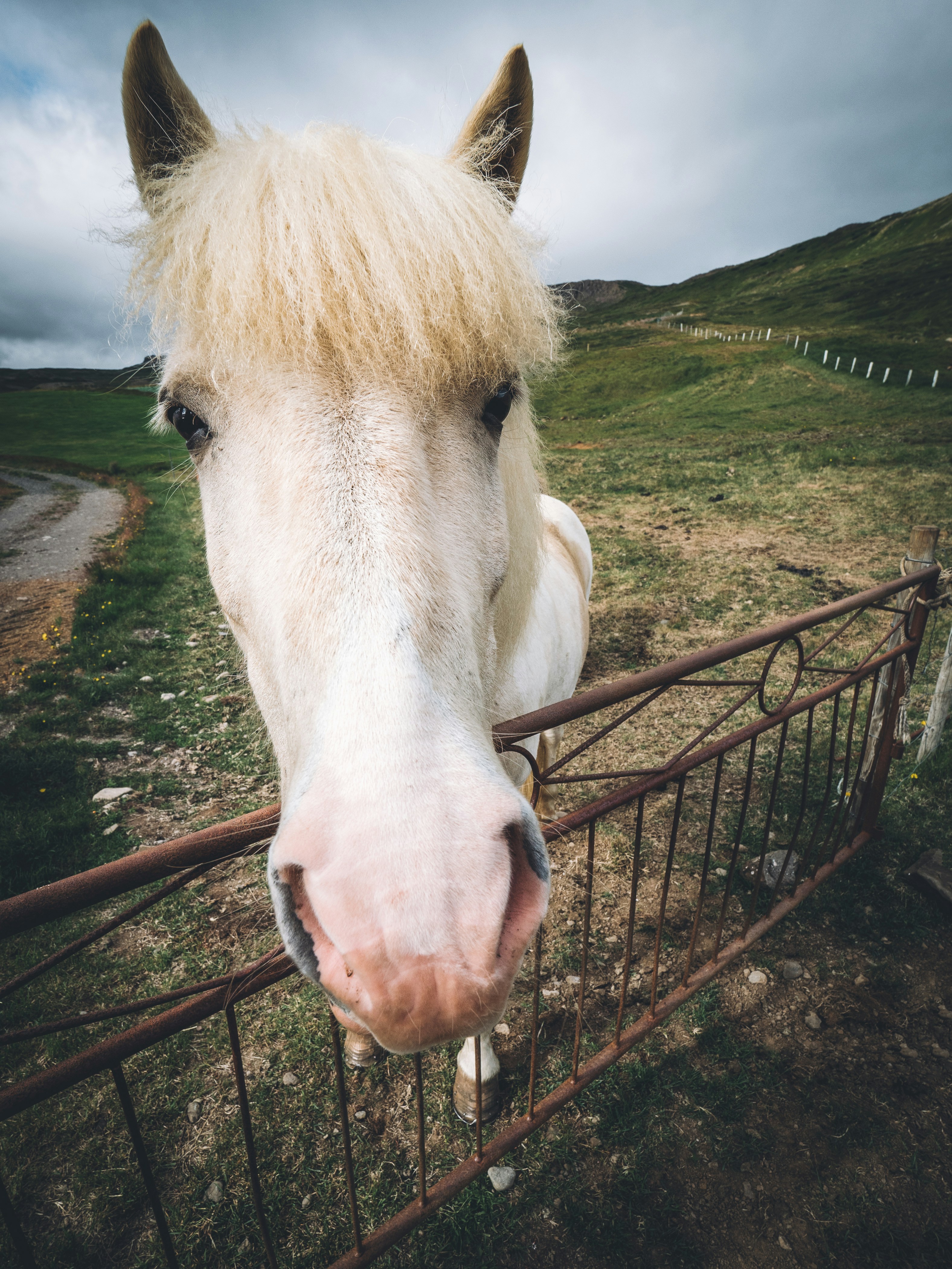 Free Unsplash photo from John Salvino