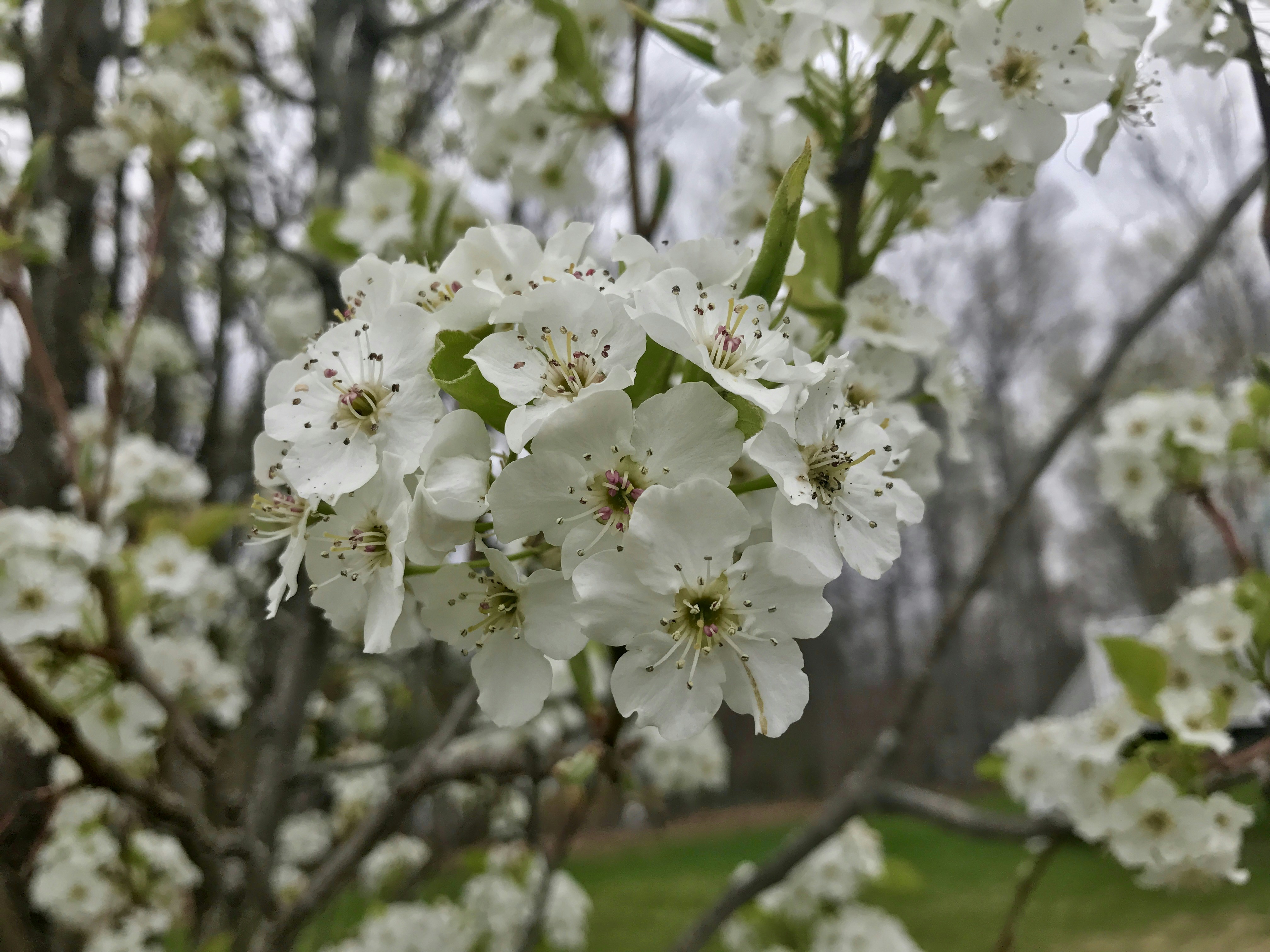 Free Unsplash photo from Tim Scalzo