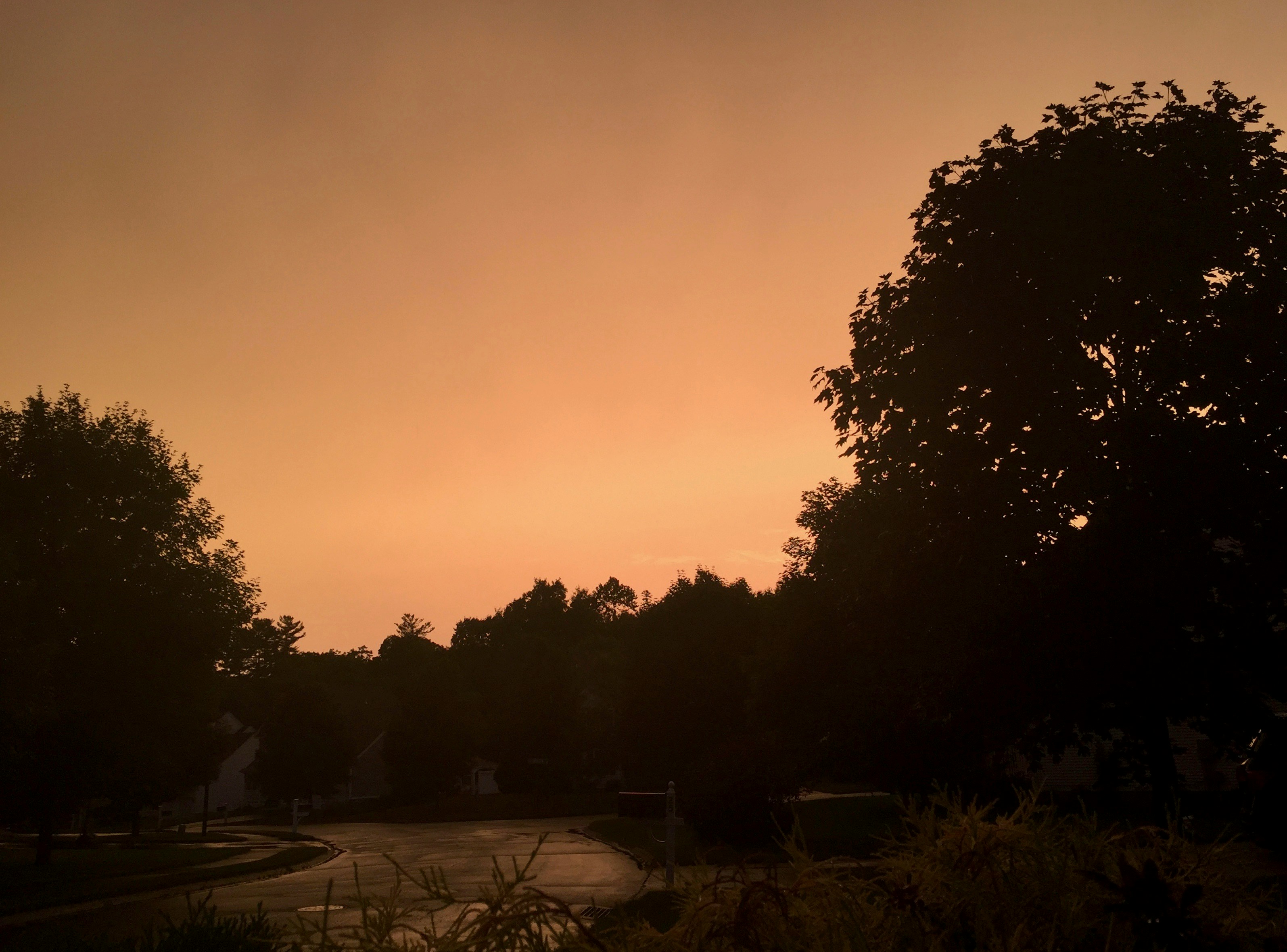 Free Unsplash photo from Tim Scalzo