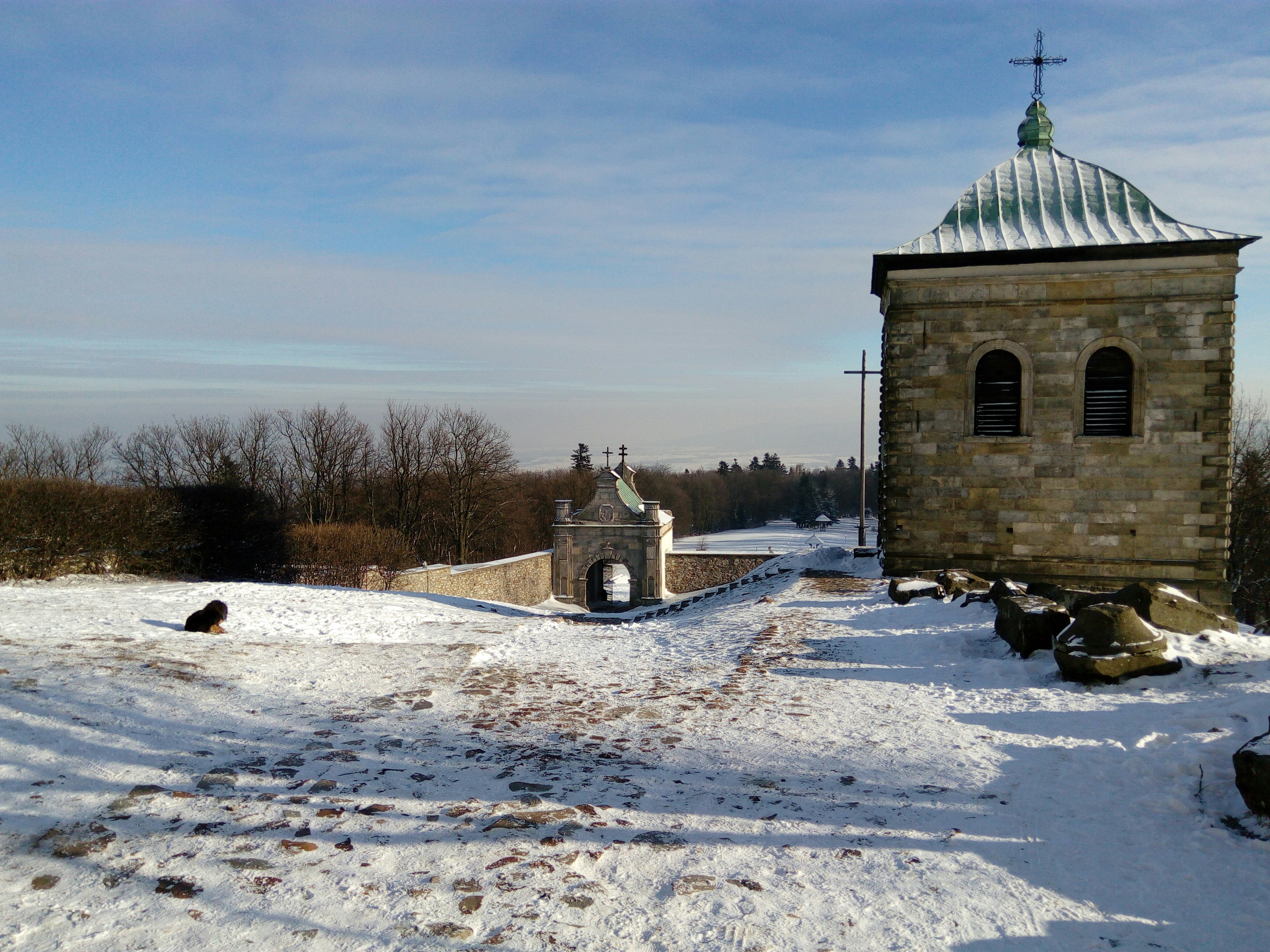 Free Unsplash photo from tomasz pastuszko