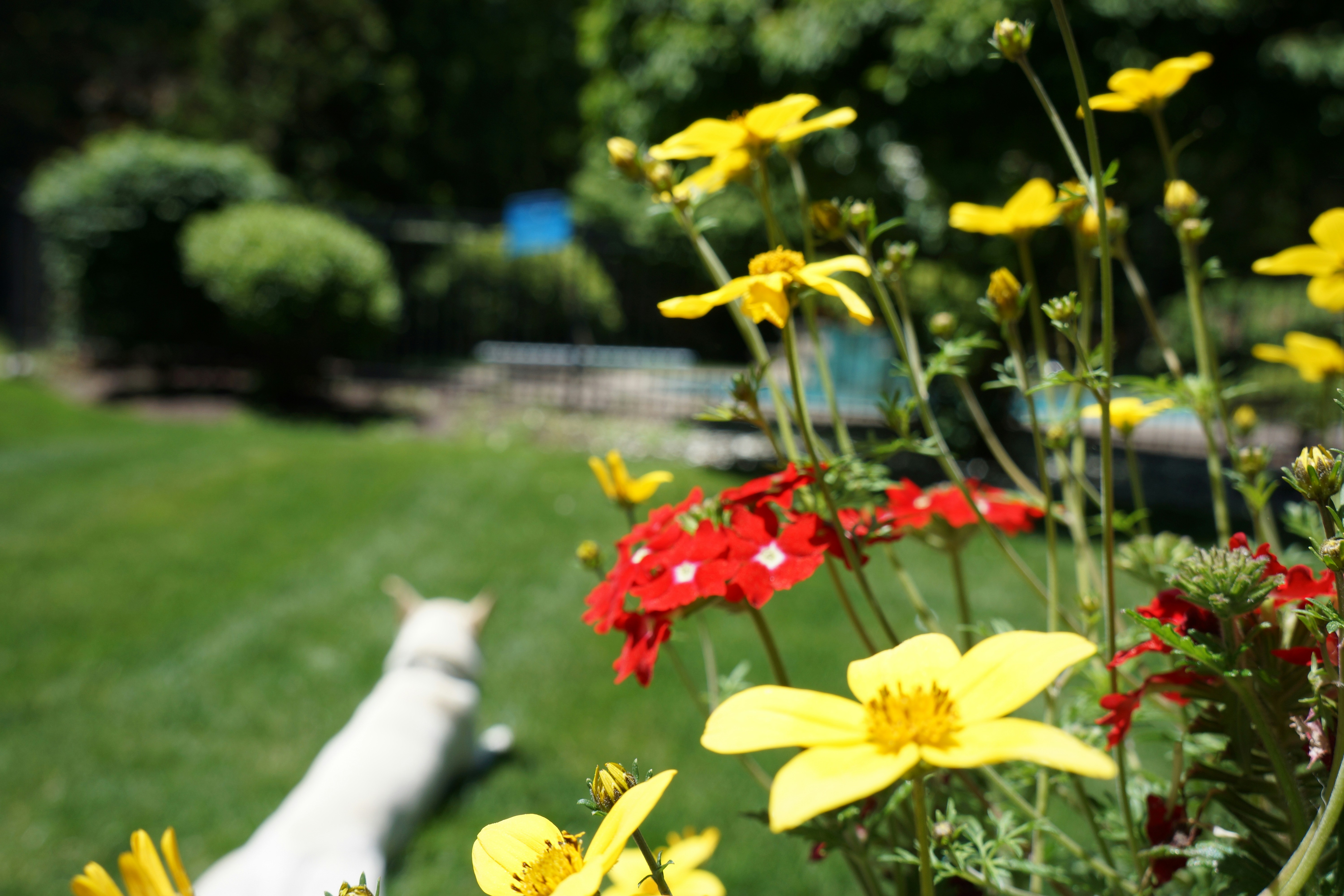 Free Unsplash photo from Jeremy Streich