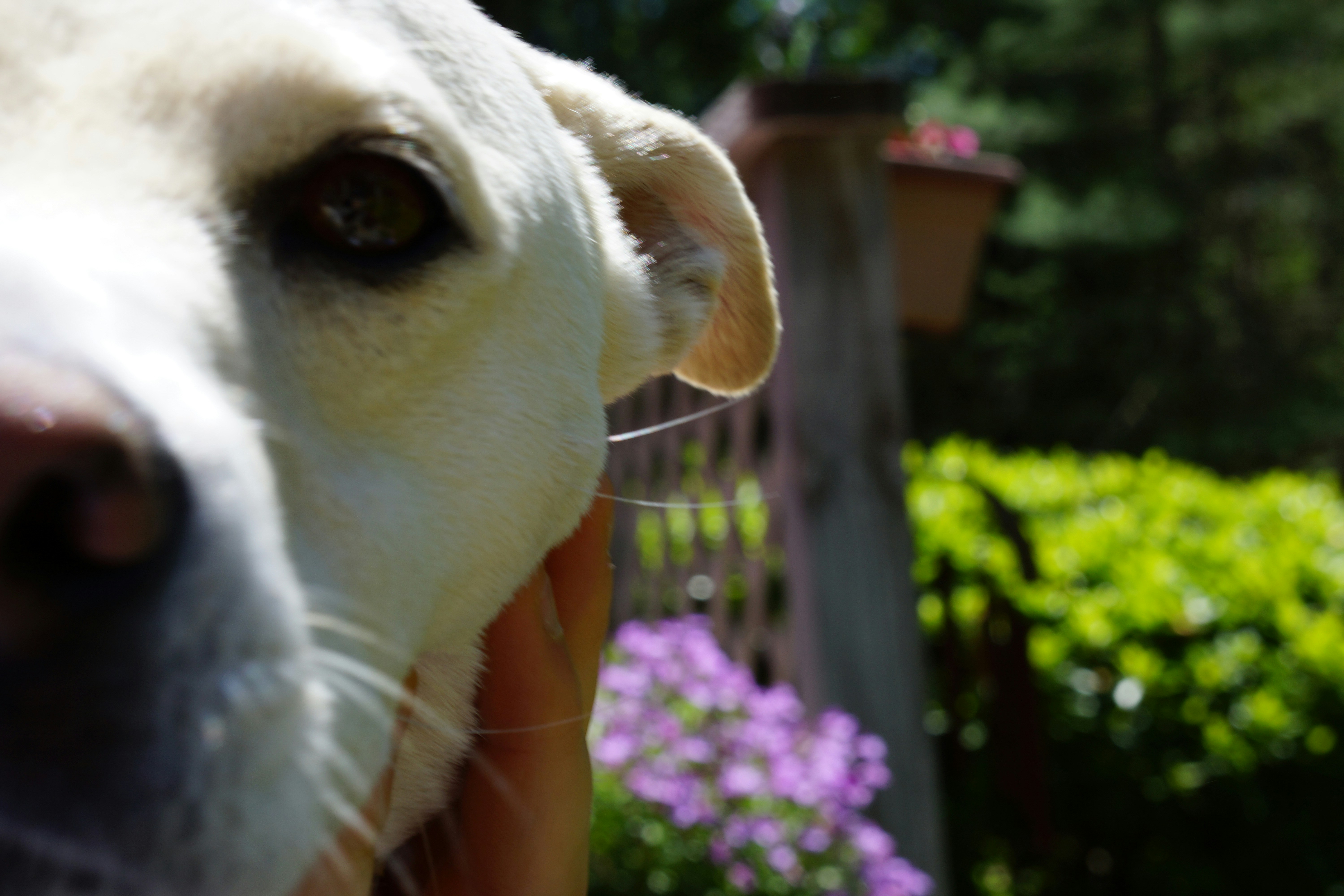 Free Unsplash photo from Jeremy Streich