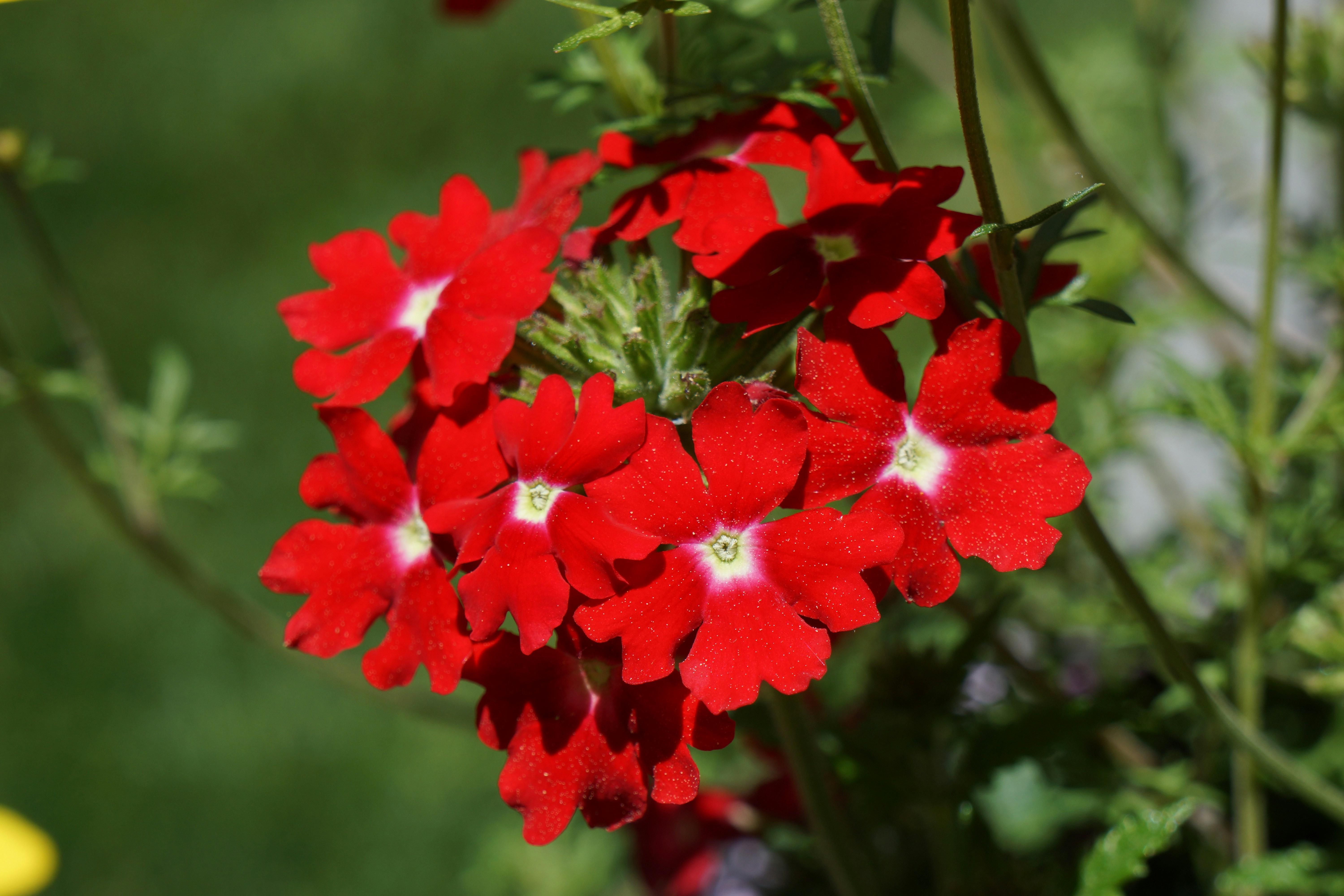 Free Unsplash photo from Jeremy Streich