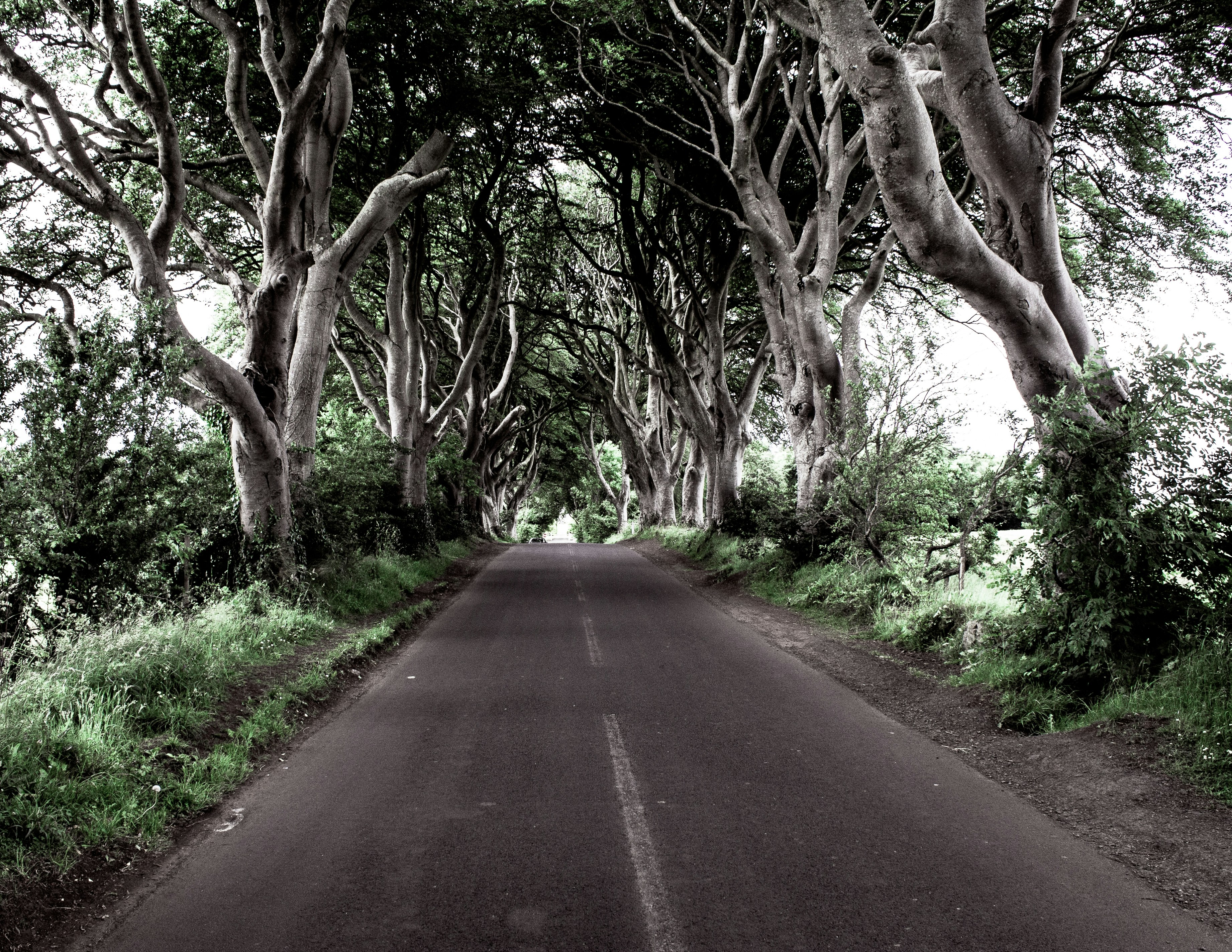 Free Unsplash photo from James Gardikas