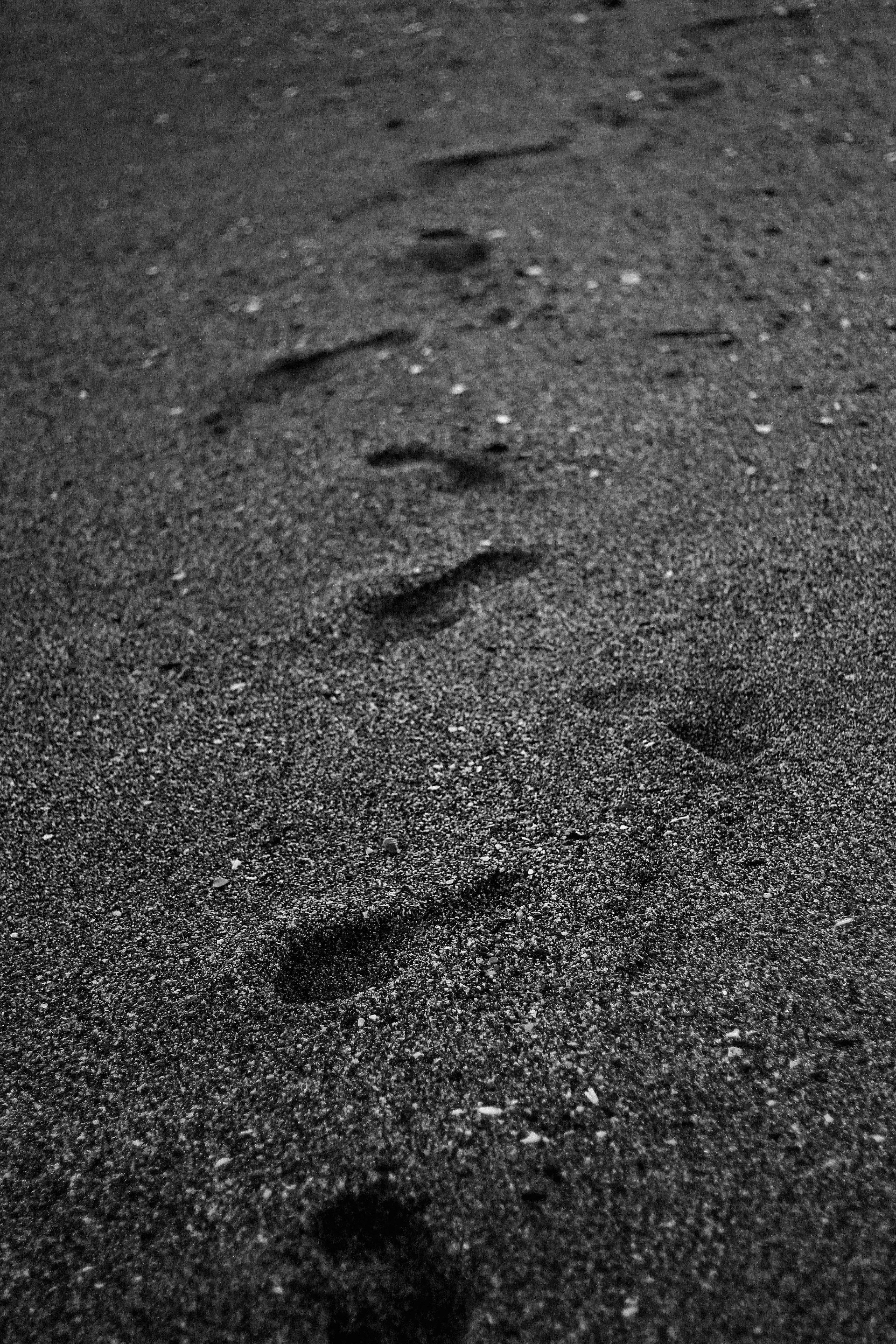 Free Unsplash photo from Ruthson Zimmerman