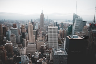 aerial photography of concrete buildings at daytime