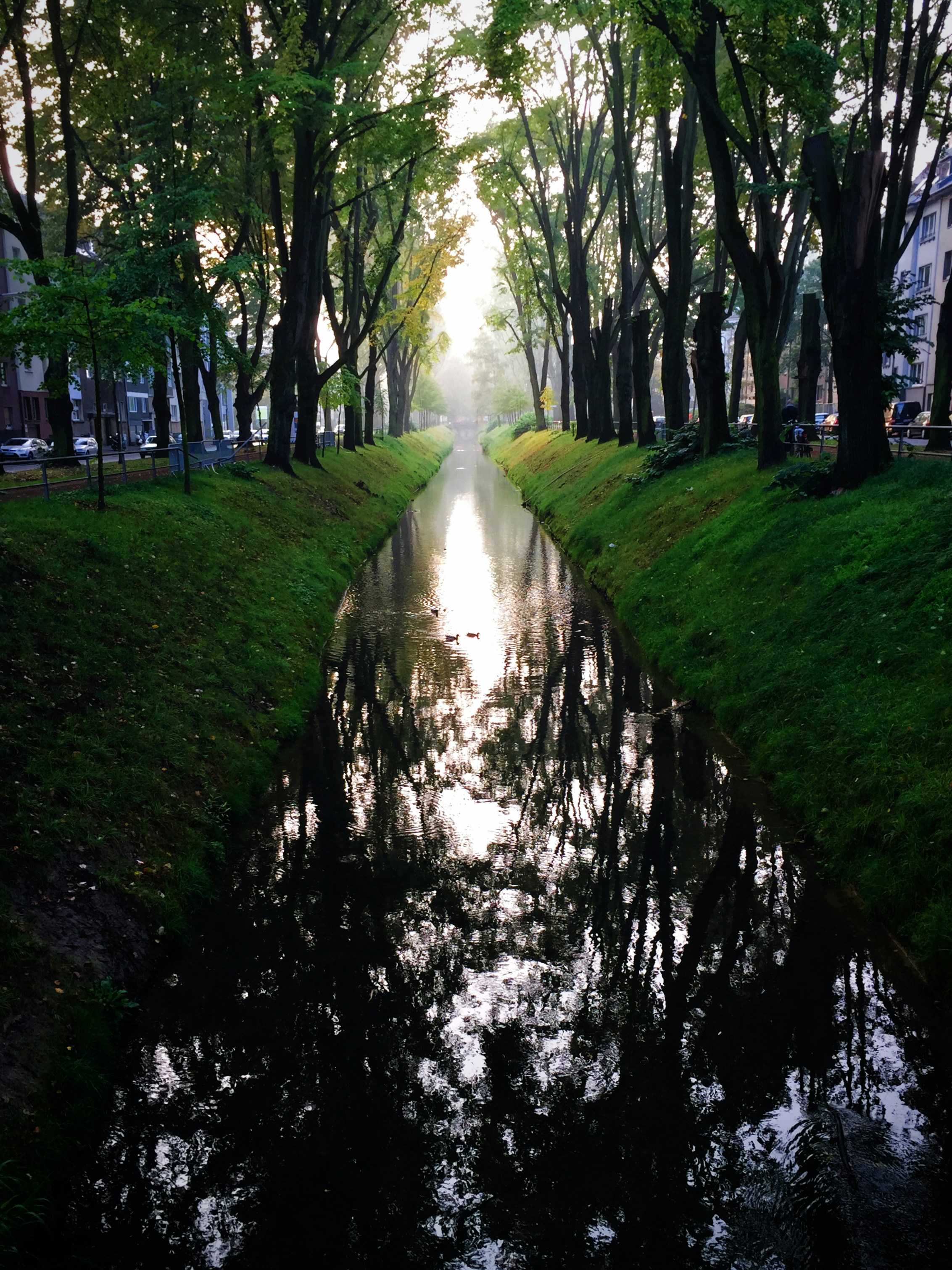 Free Unsplash photo from zoji lantis