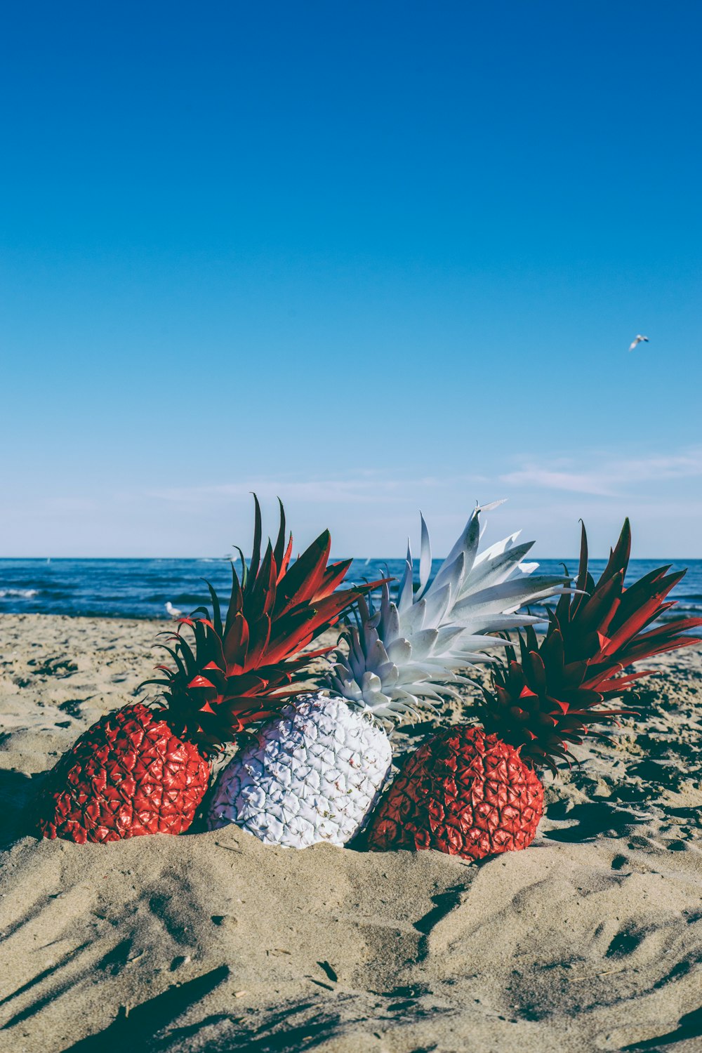 ananas rossi e bianchi in riva al mare