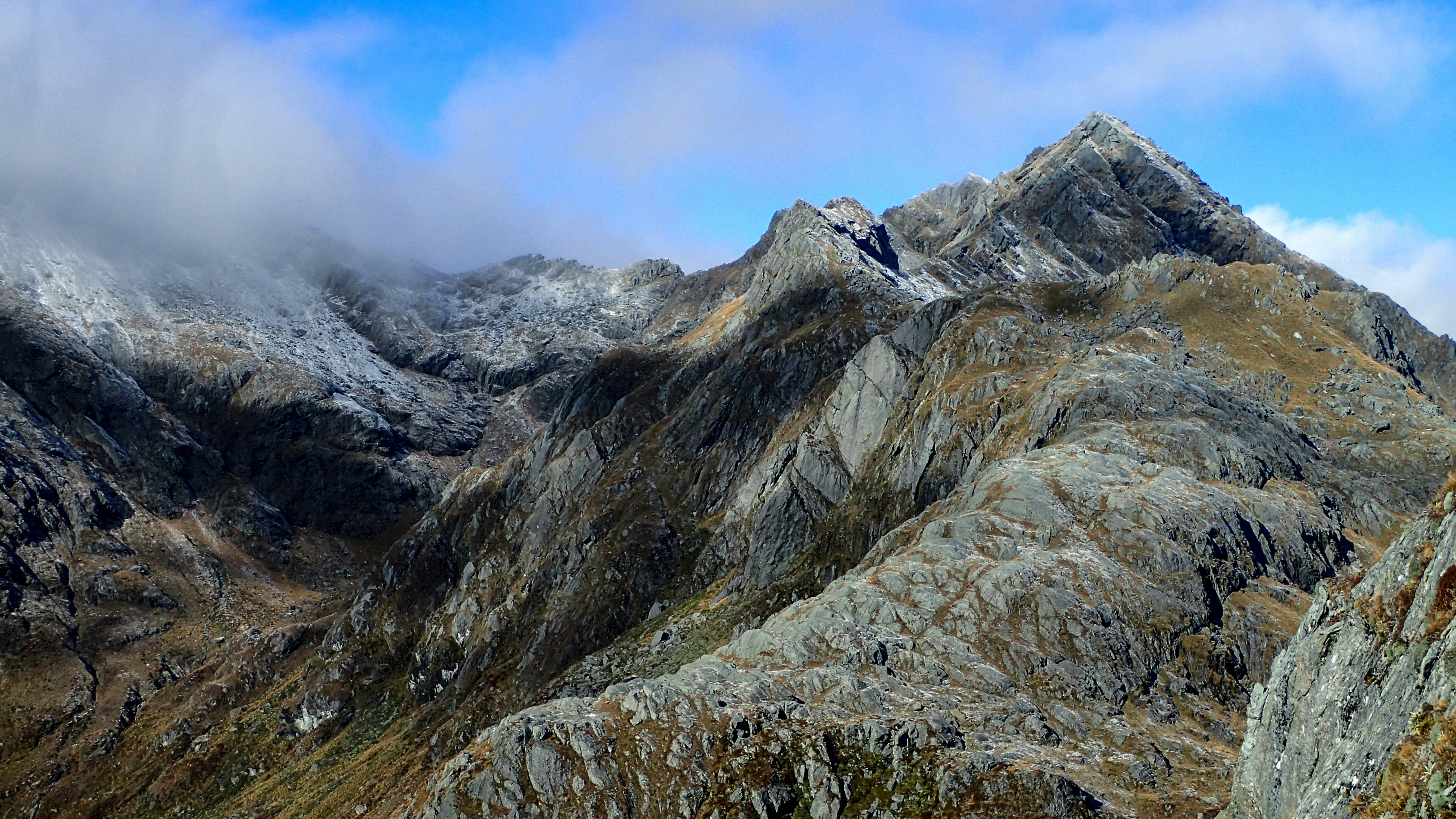 Free Unsplash photo from Elliot Bowie