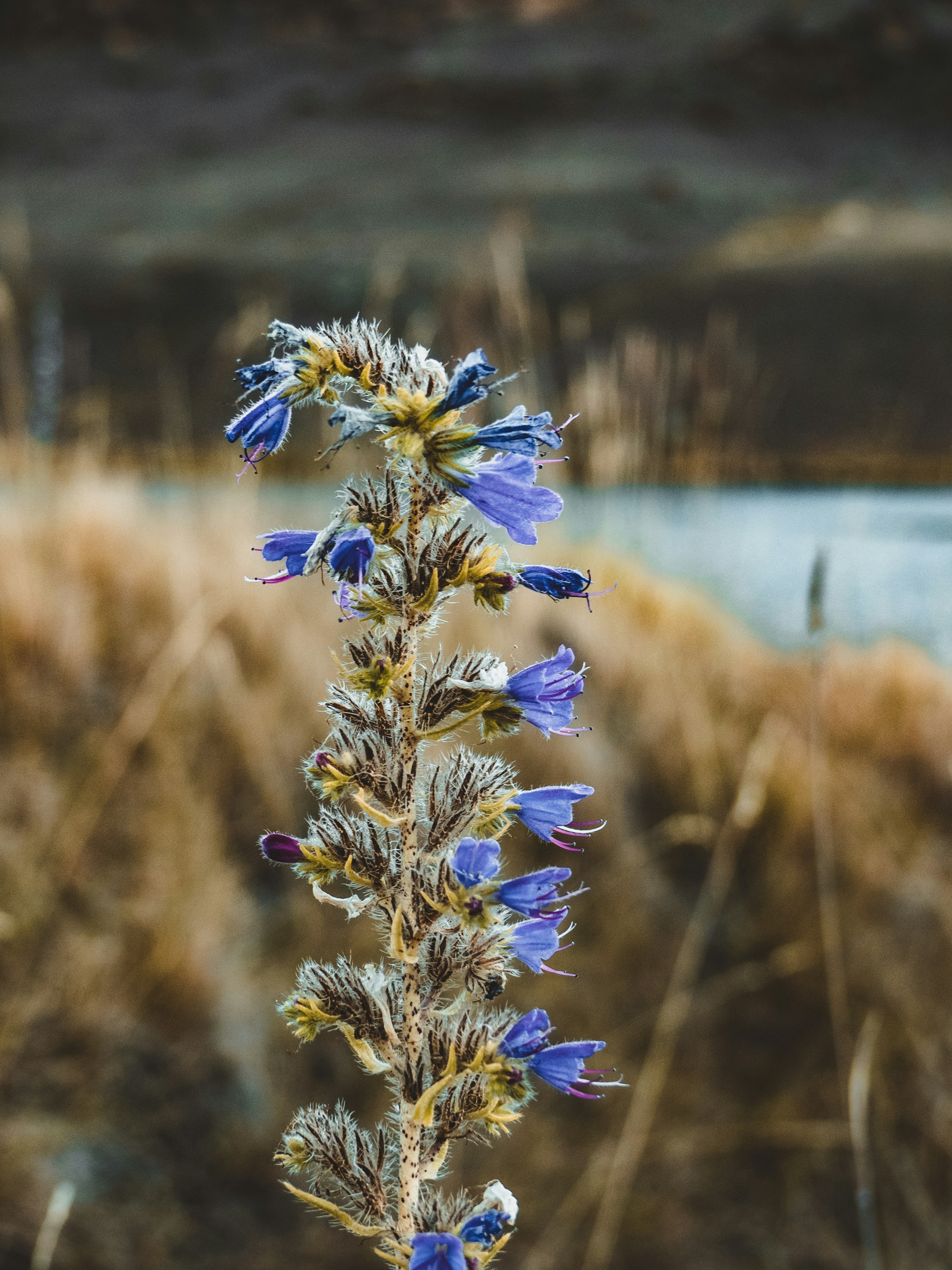 Free Unsplash photo from Tyler Lastovich