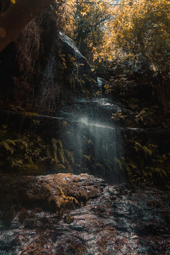 macro photography of waterfalls in Blue Mountains Australia