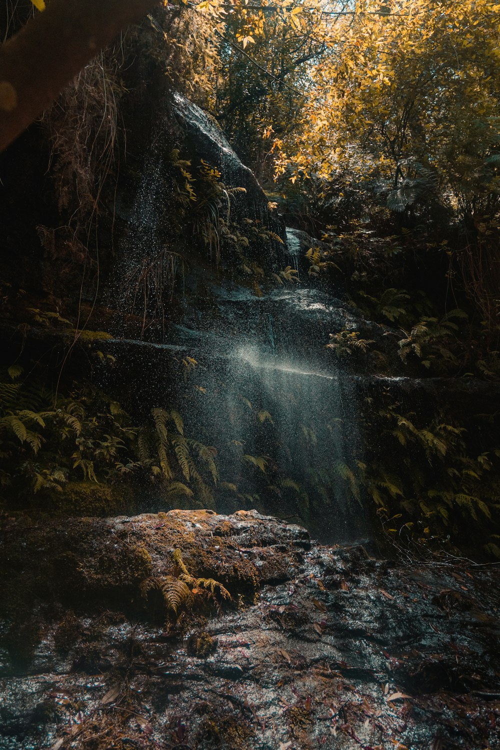 macro photography of waterfalls