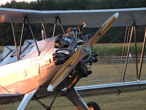 A vintage biplane with a wooden propeller is parked on a grassy field. The aircraft features a polished metal exterior with visible engine components and German text on the fuselage. The backdrop includes a cornfield and a dense forest area, with a few people visible in the distance.