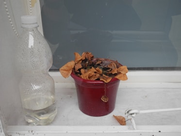 A sleek self-watering plastic pot sitting on a sunny windowsill.