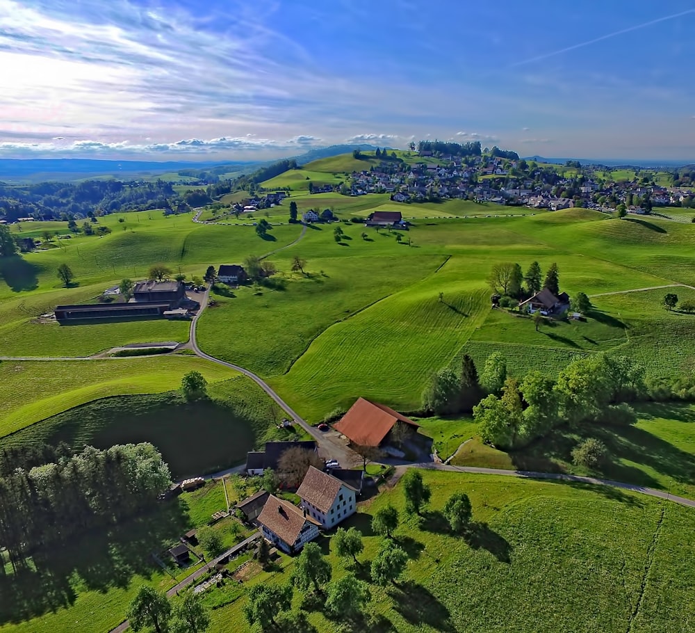 aerial photography of houses