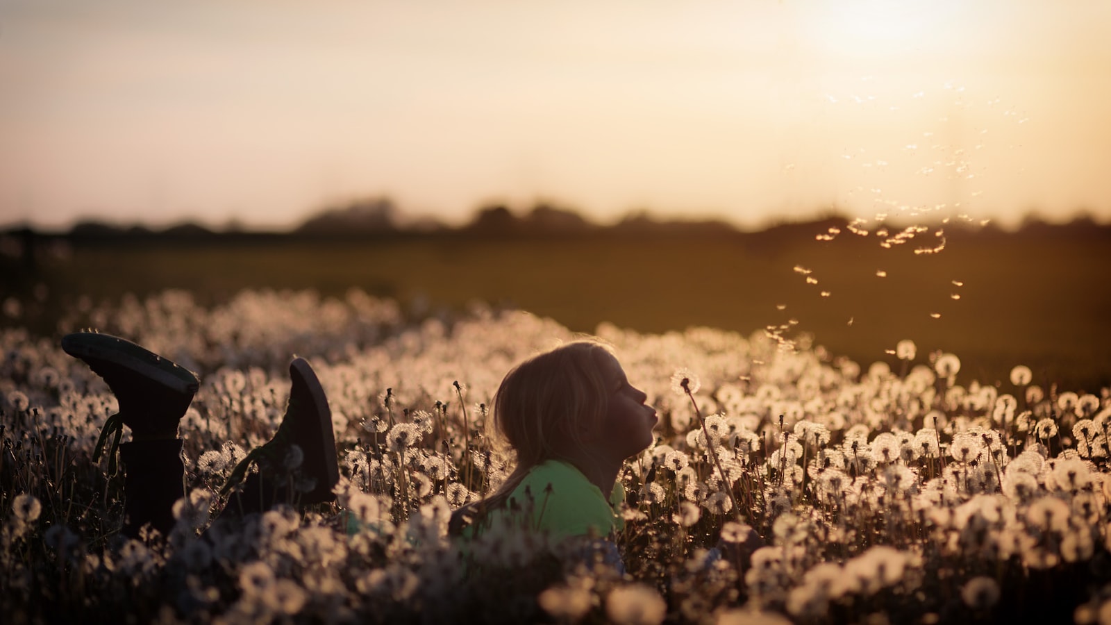 Canon EOS 5D + Canon EF 85mm F1.8 USM sample photo. Girl lying on dandelion photography