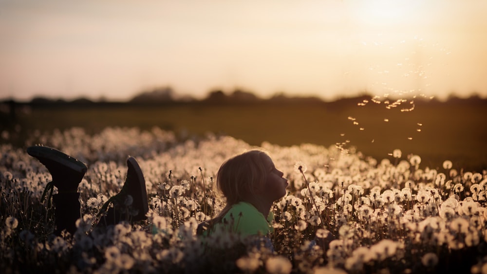 girl lying on dandelion field