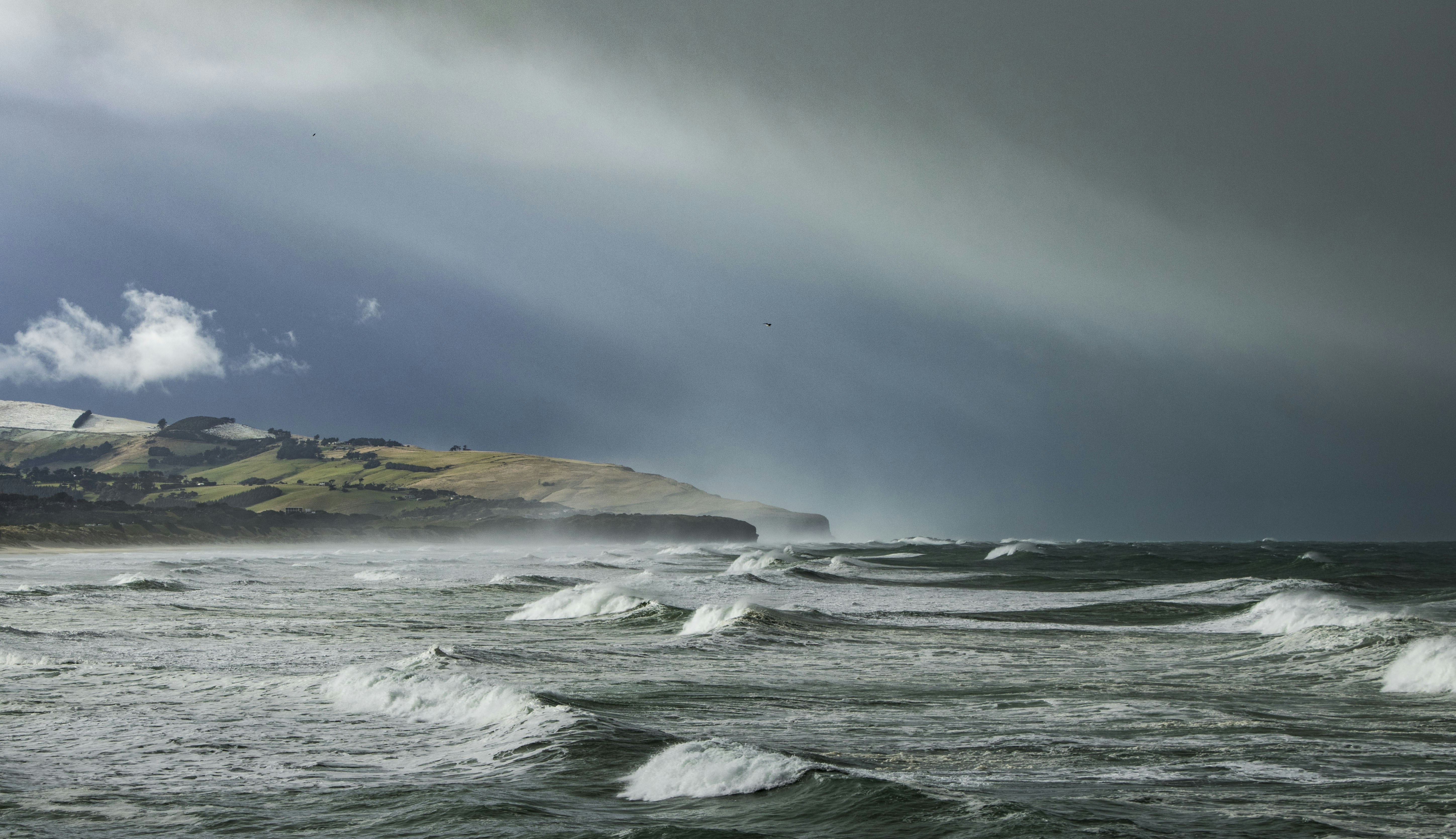 Free Unsplash photo from Kerensa Pickett