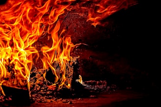 burning firelog
