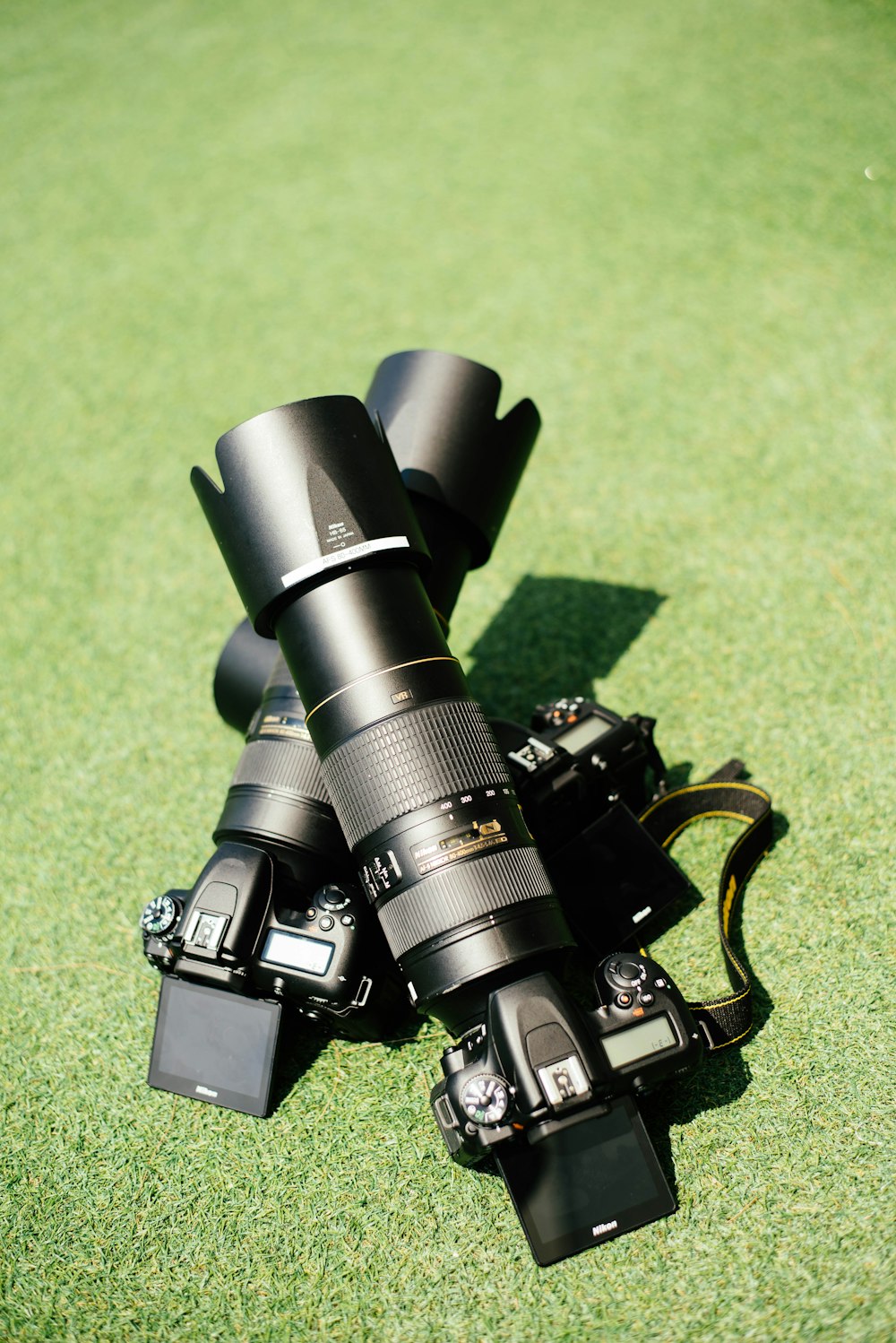 two black Nikon DSLR cameras on green grass