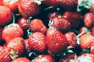Close-up of ripe strawberries freshly picked, showcasing their natural red color.