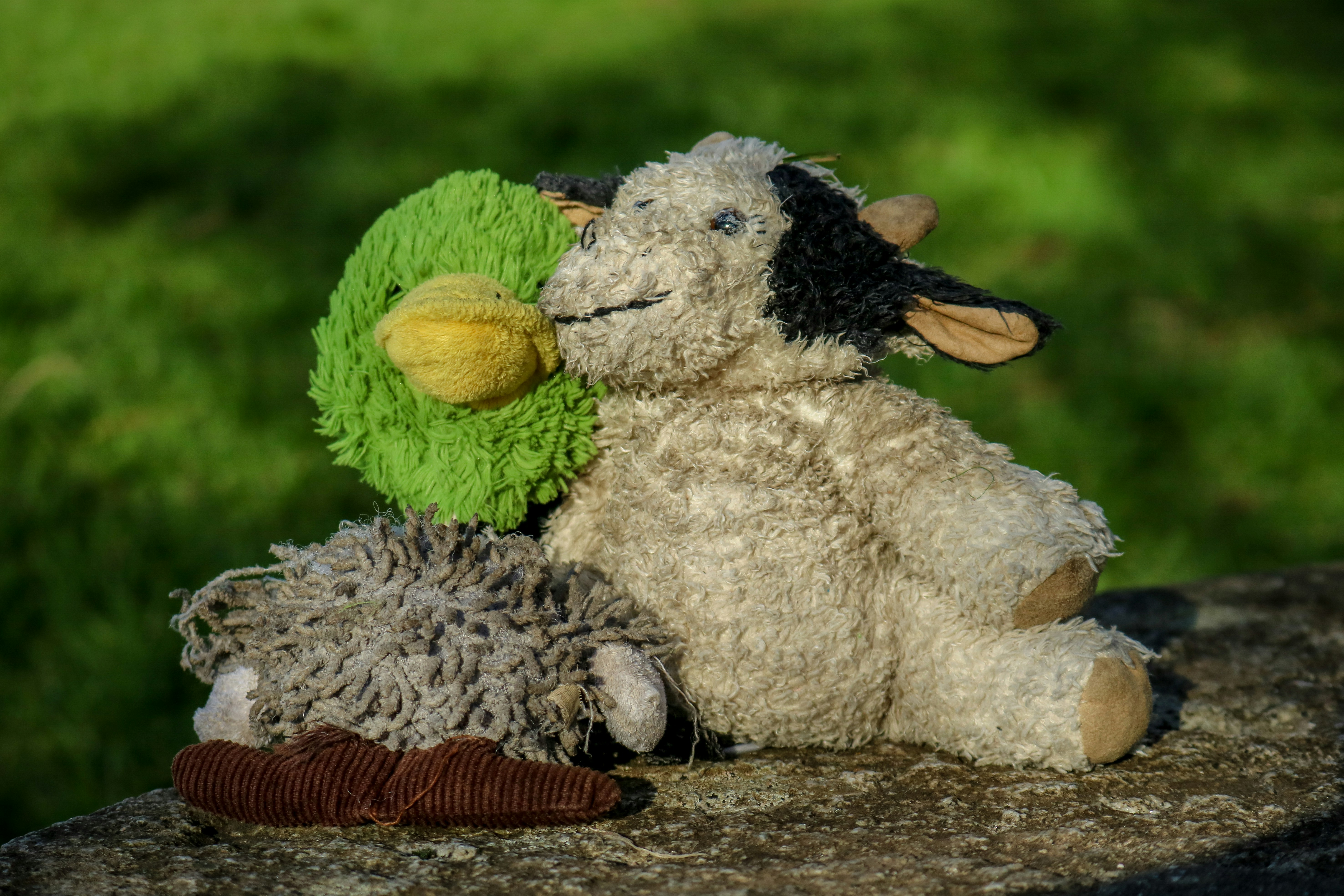 Free Unsplash photo from Andre Mouton