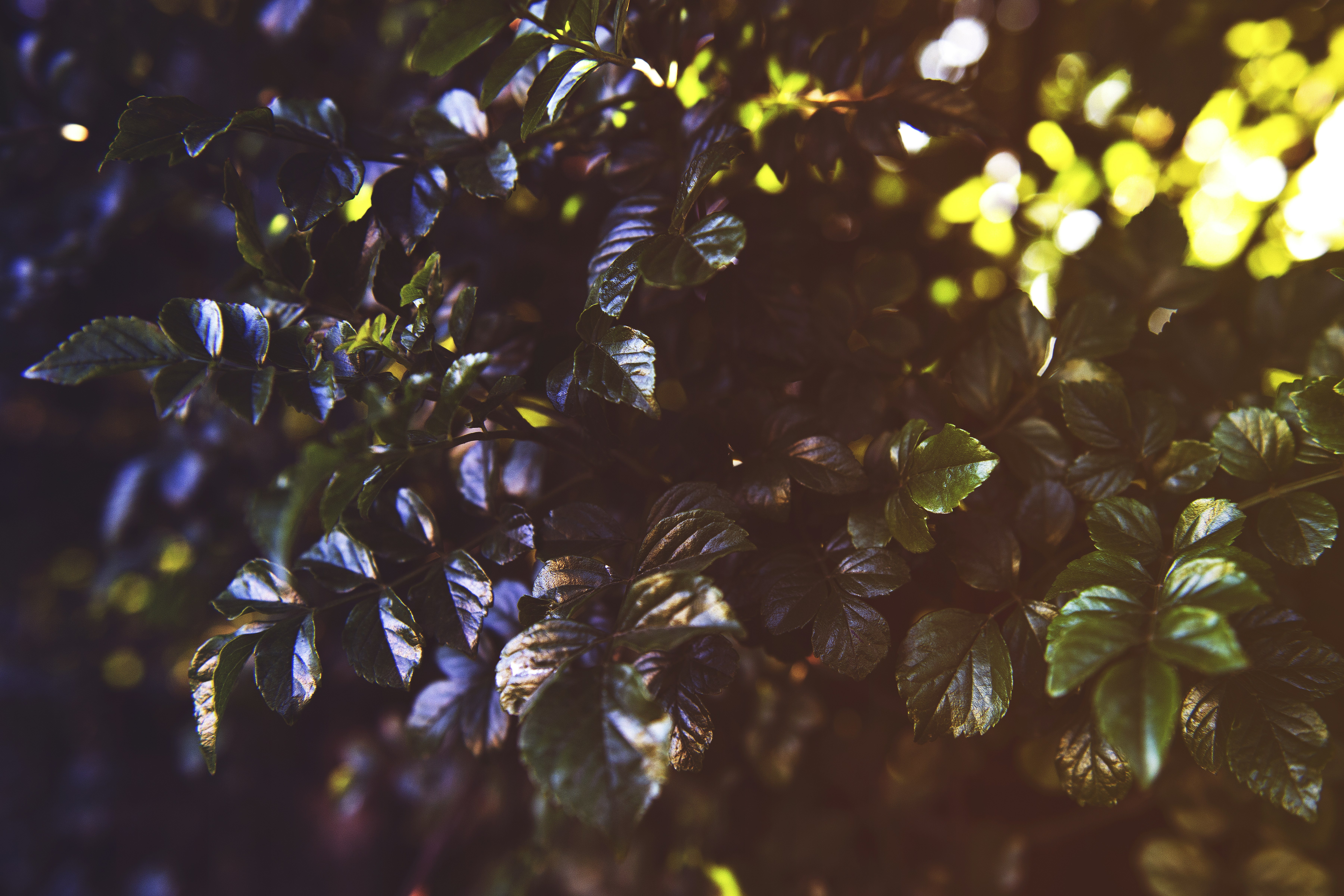 Photo by timmossholder