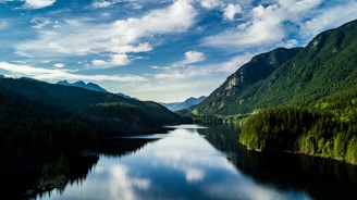 A serene landscape with a calm lake surrounded by trees and mountains, reflecting tranquility.