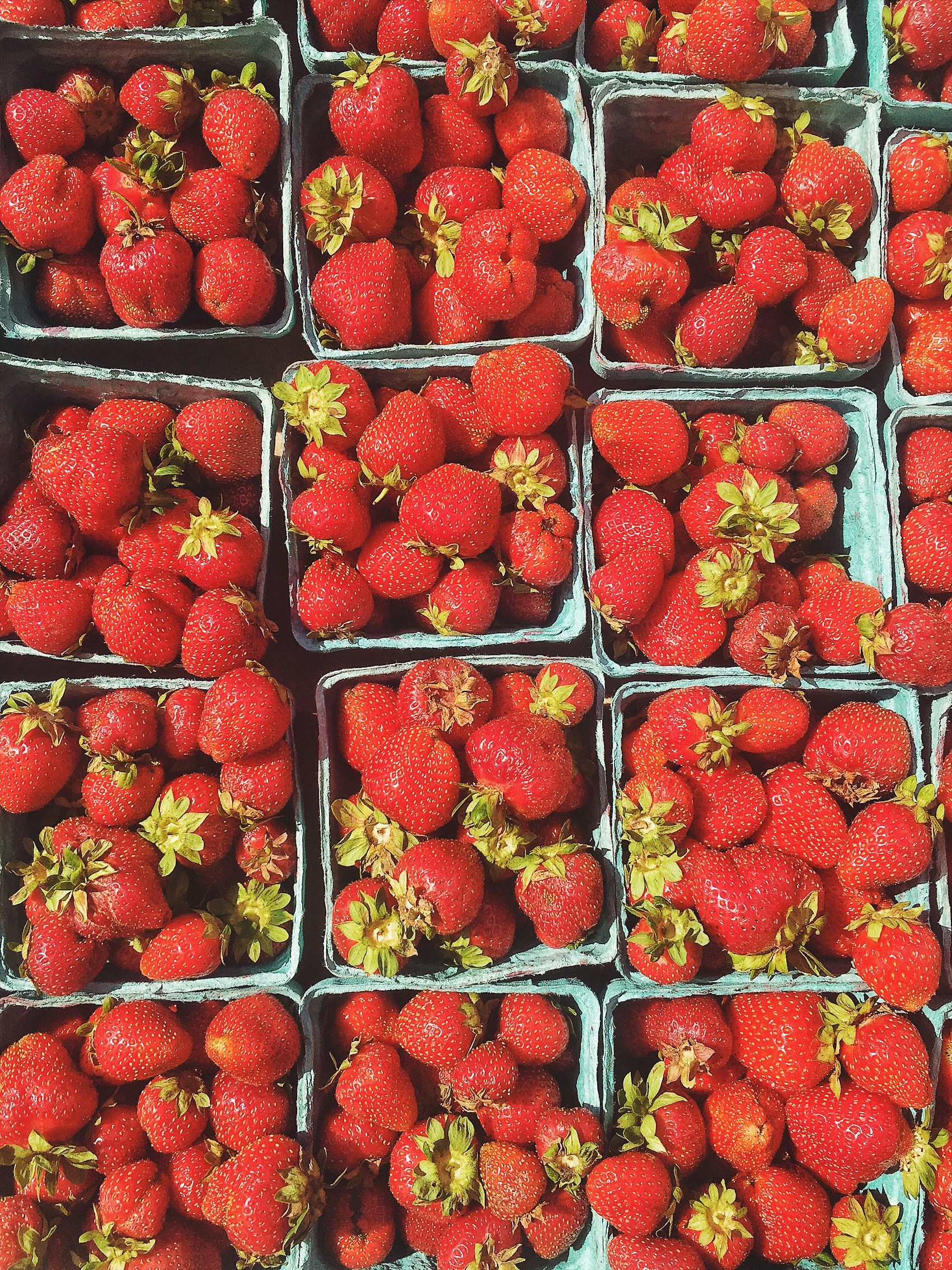 Free Unsplash photo from kate rowe