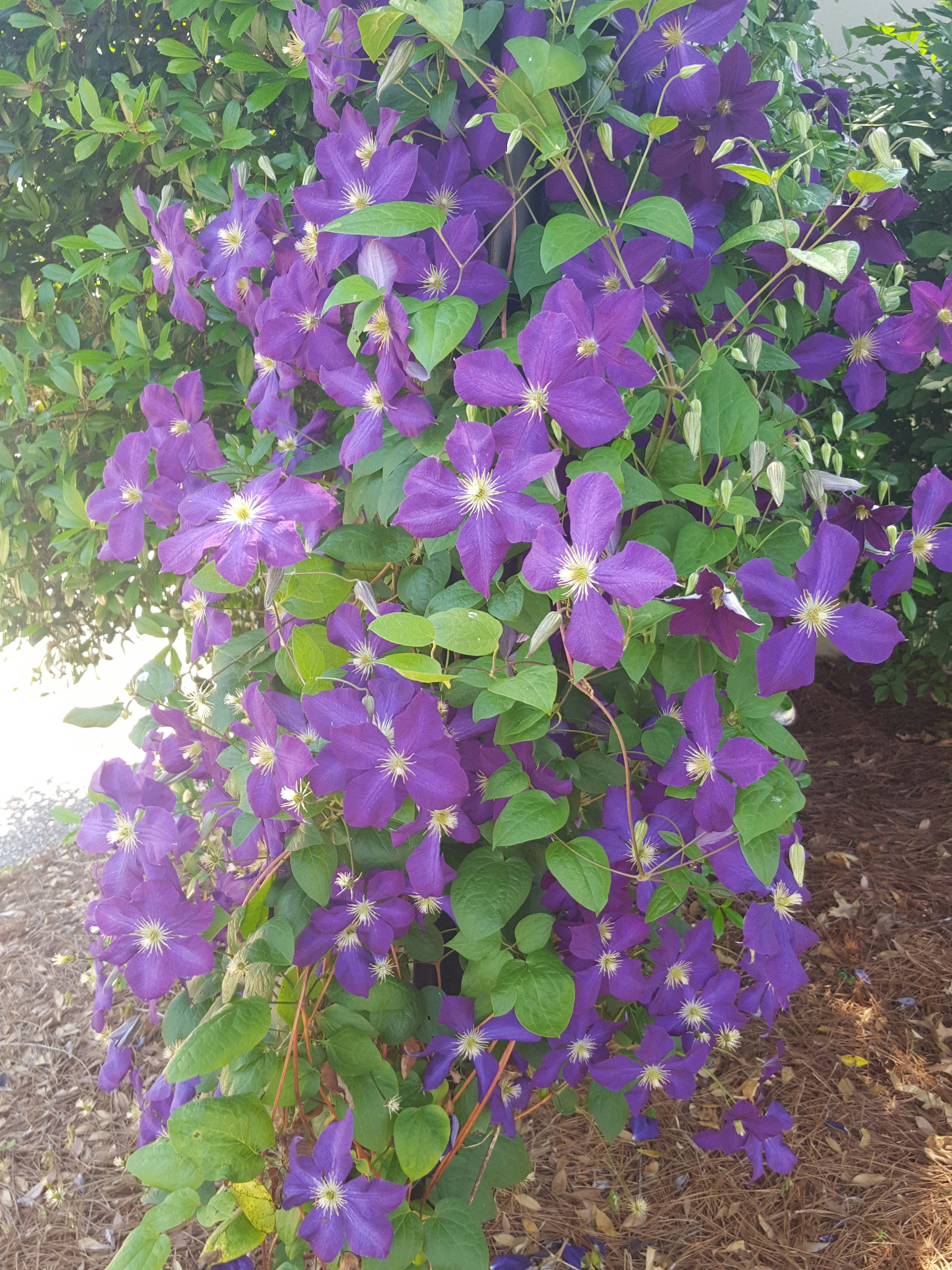 Free Unsplash photo from T Michael Herman