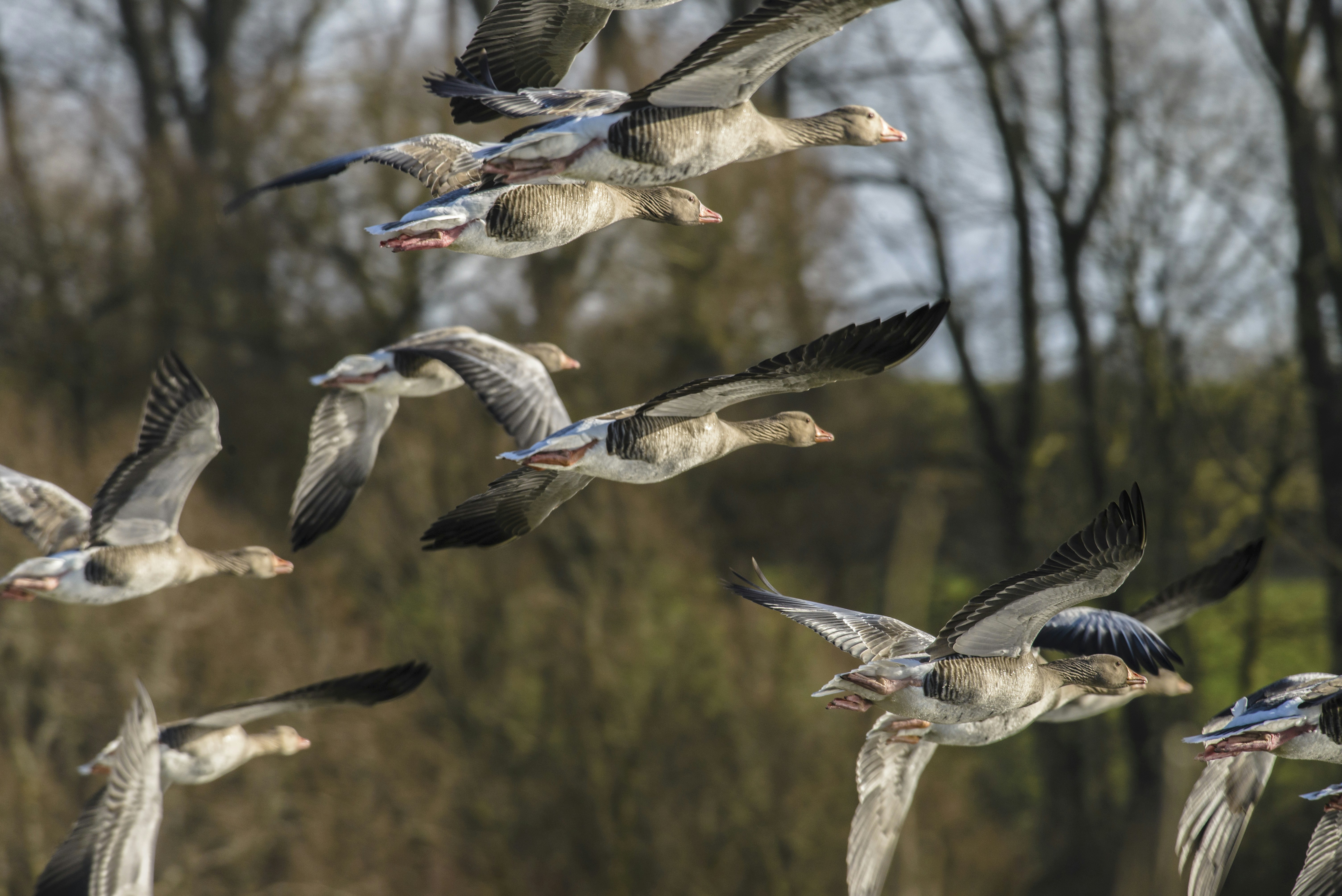 Free Unsplash photo from myshko