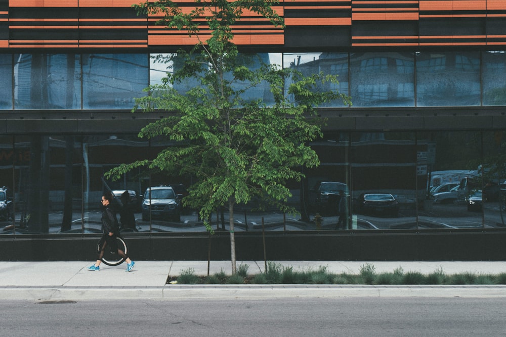 green leafed plant in front of black building