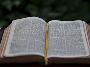opened book with bookmark