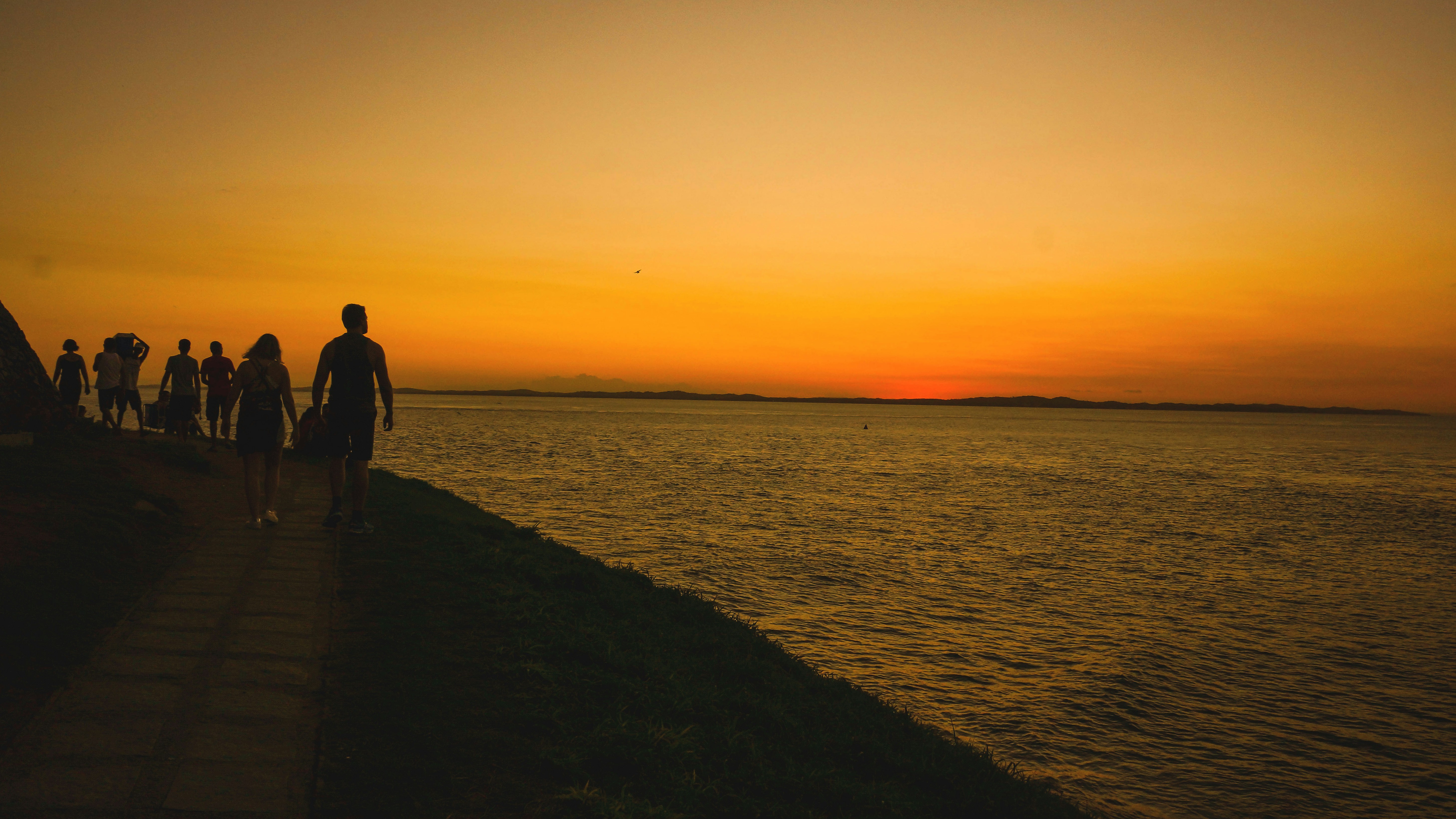 Free Unsplash photo from Luís Sousa