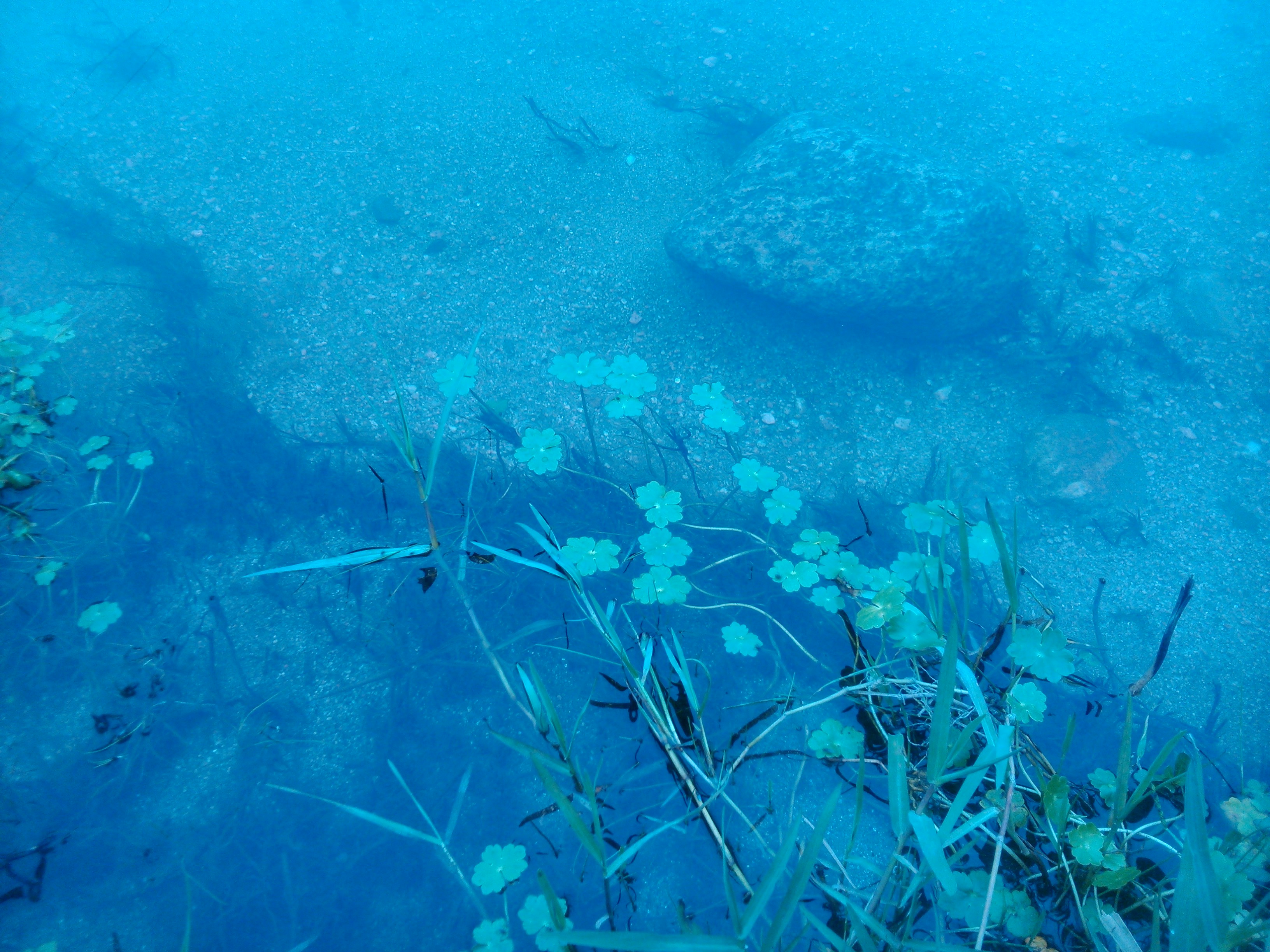 Free Unsplash photo from Sonia Ruiz