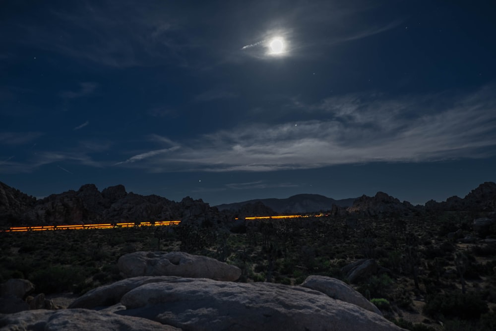 landscape photography of green trees under moon