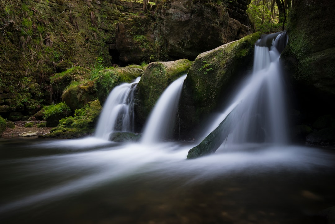 flowing water near forest and mountain during daytime