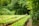 A lush green field with neatly arranged rows of plants, surrounded by dense, verdant foliage. A person wearing a straw hat is tending to the plants, creating a serene and pastoral scene.