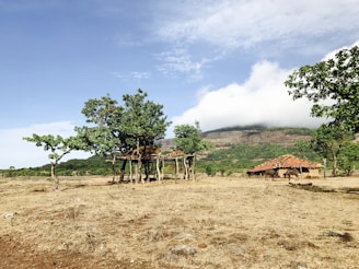 A rural area with sparse vegetation. There are a few trees and a simple wooden structure in the foreground. In the background, there is a thatched roof hut. Hills covered partially with green foliage and some mist or clouds can also be seen.
