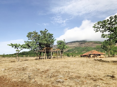 A rural area with sparse vegetation. There are a few trees and a simple wooden structure in the foreground. In the background, there is a thatched roof hut. Hills covered partially with green foliage and some mist or clouds can also be seen.