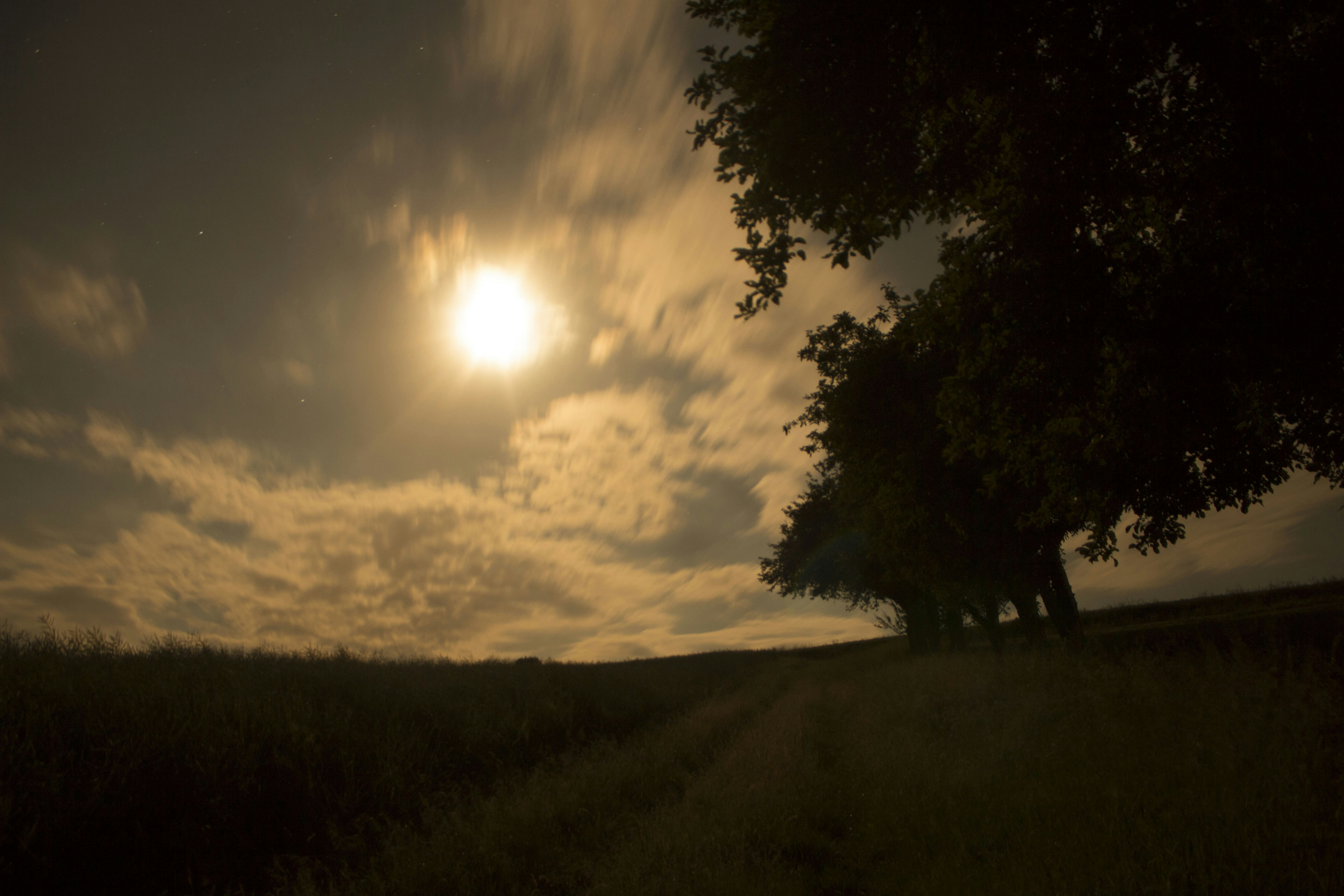 Free Unsplash photo from Lion Ellendt