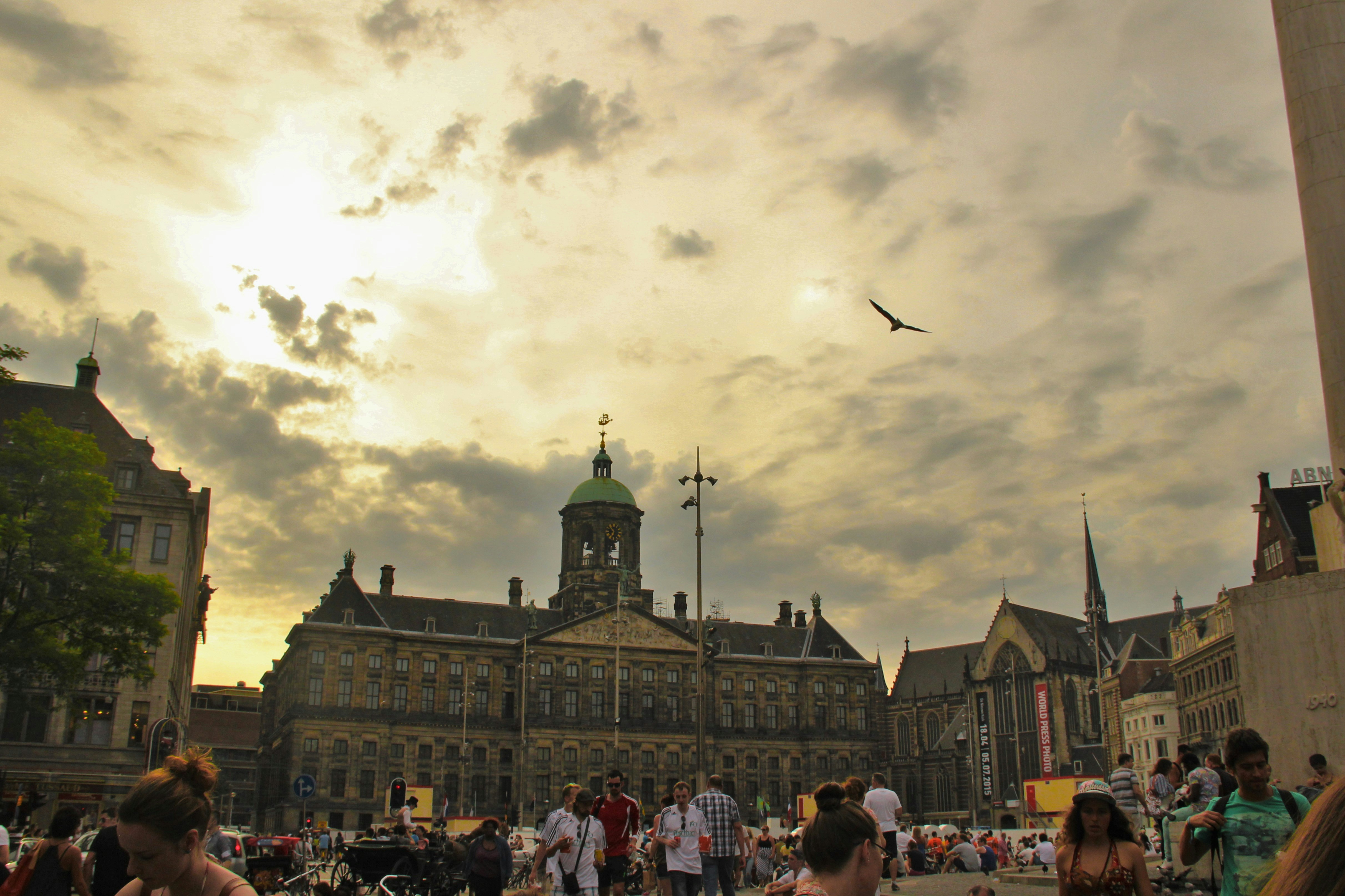 Free Unsplash photo from Nicole Hovan-Avdentova