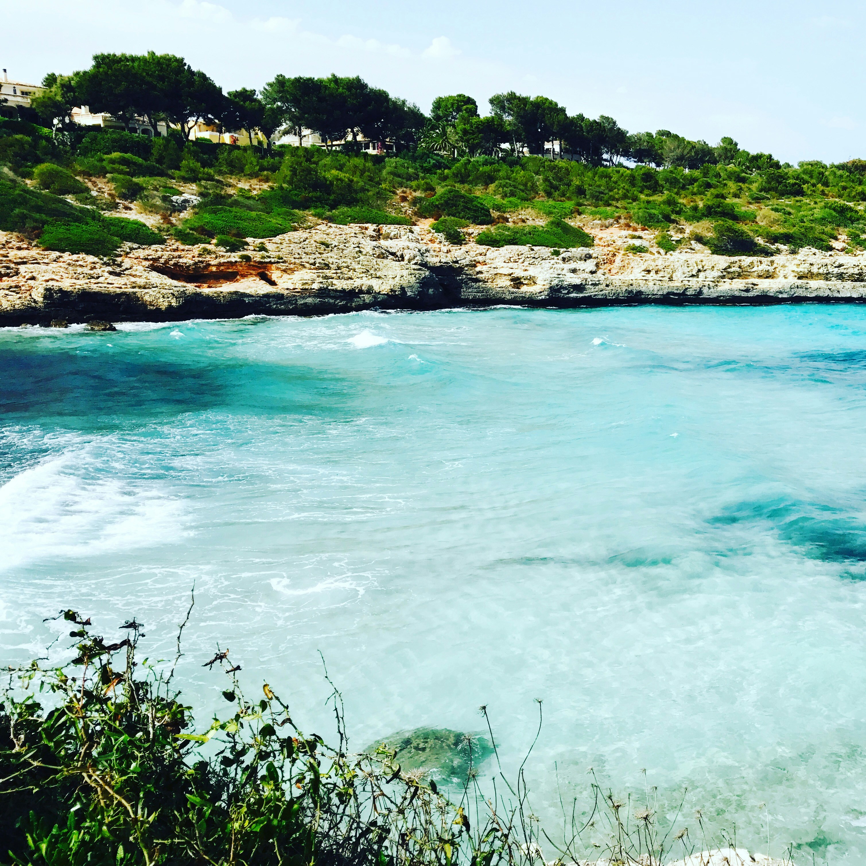 Free Unsplash photo from mela nie