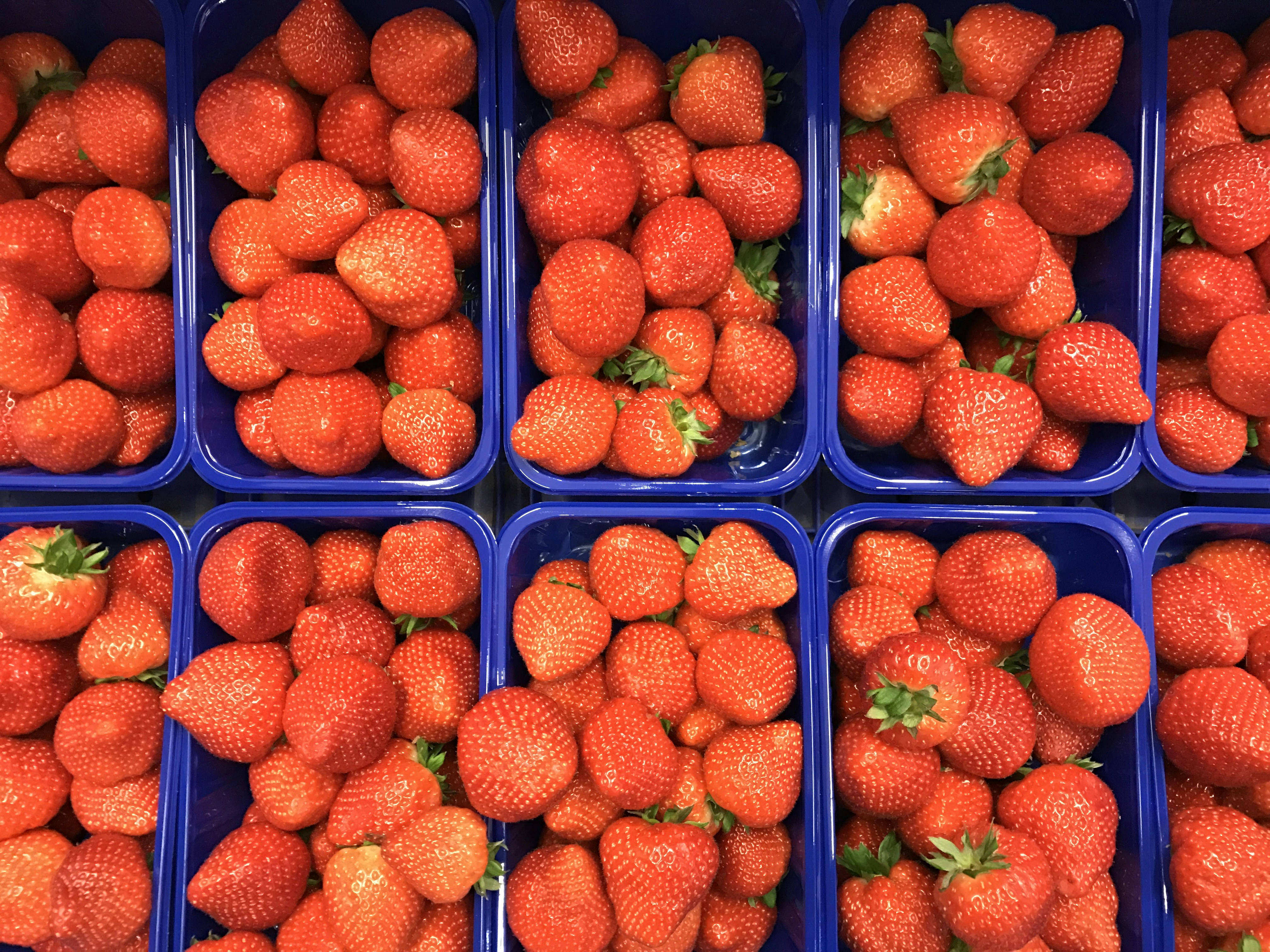 Free Unsplash photo from mela nie