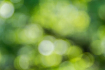 Green tree massage
