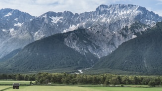 photo of tree covered mountain