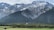 photo of tree covered mountain
