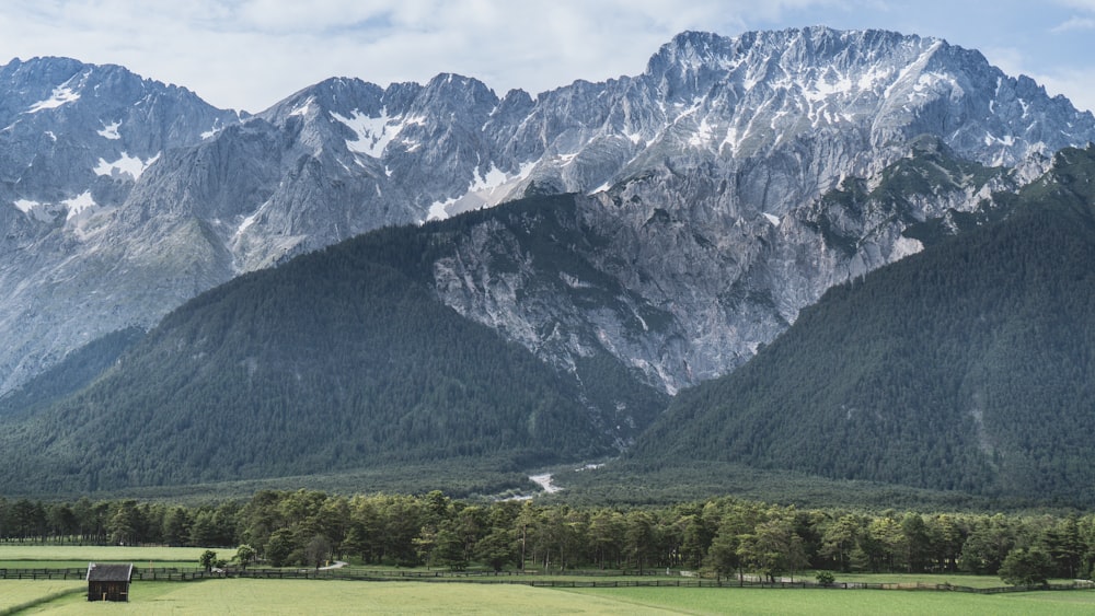 photo of tree covered mountain