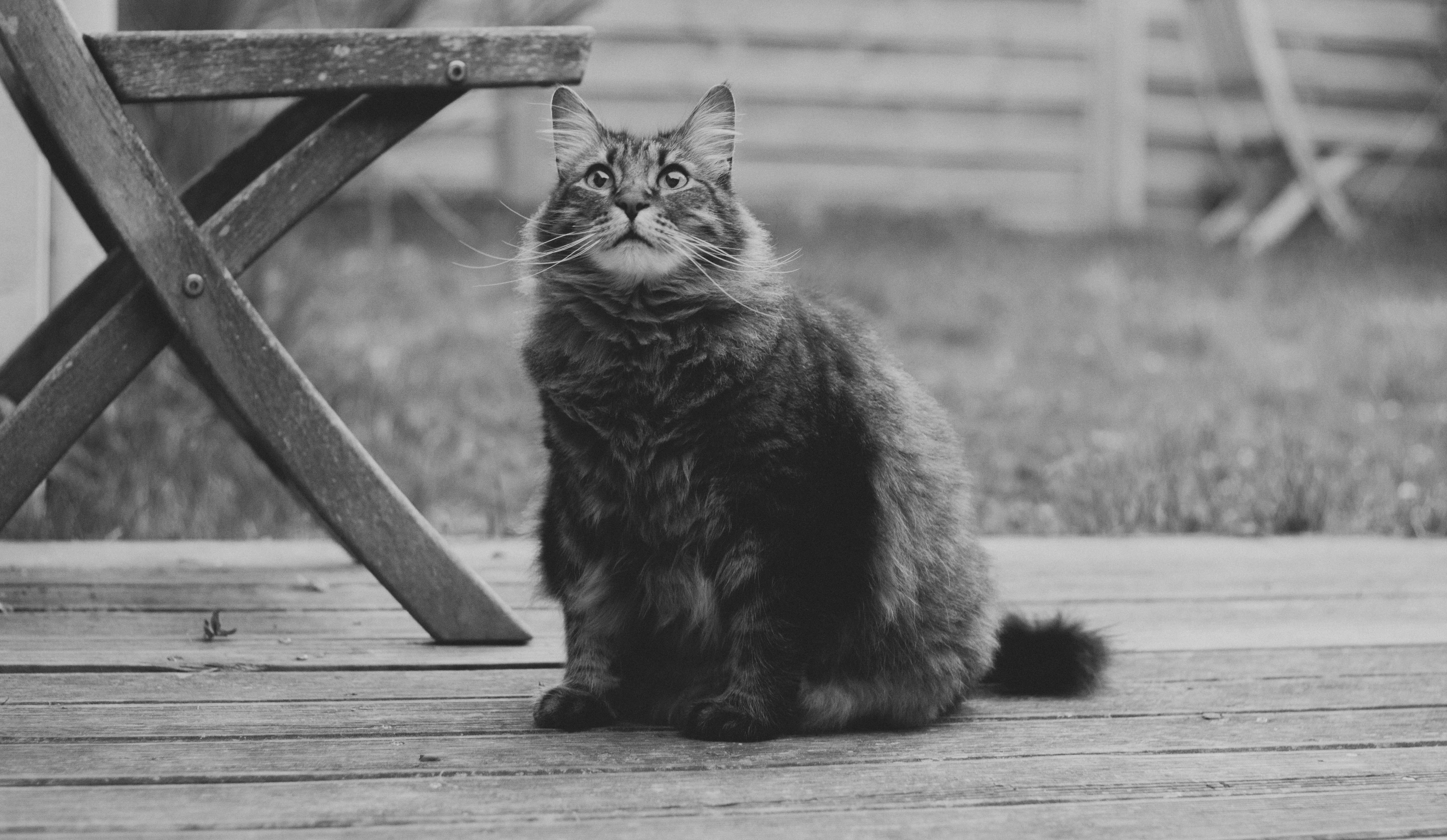 Free Unsplash photo from Elsa Noblet